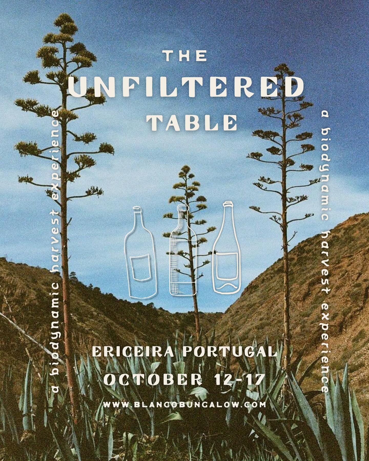 We&rsquo;ve been dreaming of this&hellip; and it&rsquo;s finally here. 🍷✨ Strader and I are so excited to invite you to join us this fall for something we&rsquo;ve poured our hearts into: The Unfiltered Table. 
Our first-ever natural wine &amp; culi