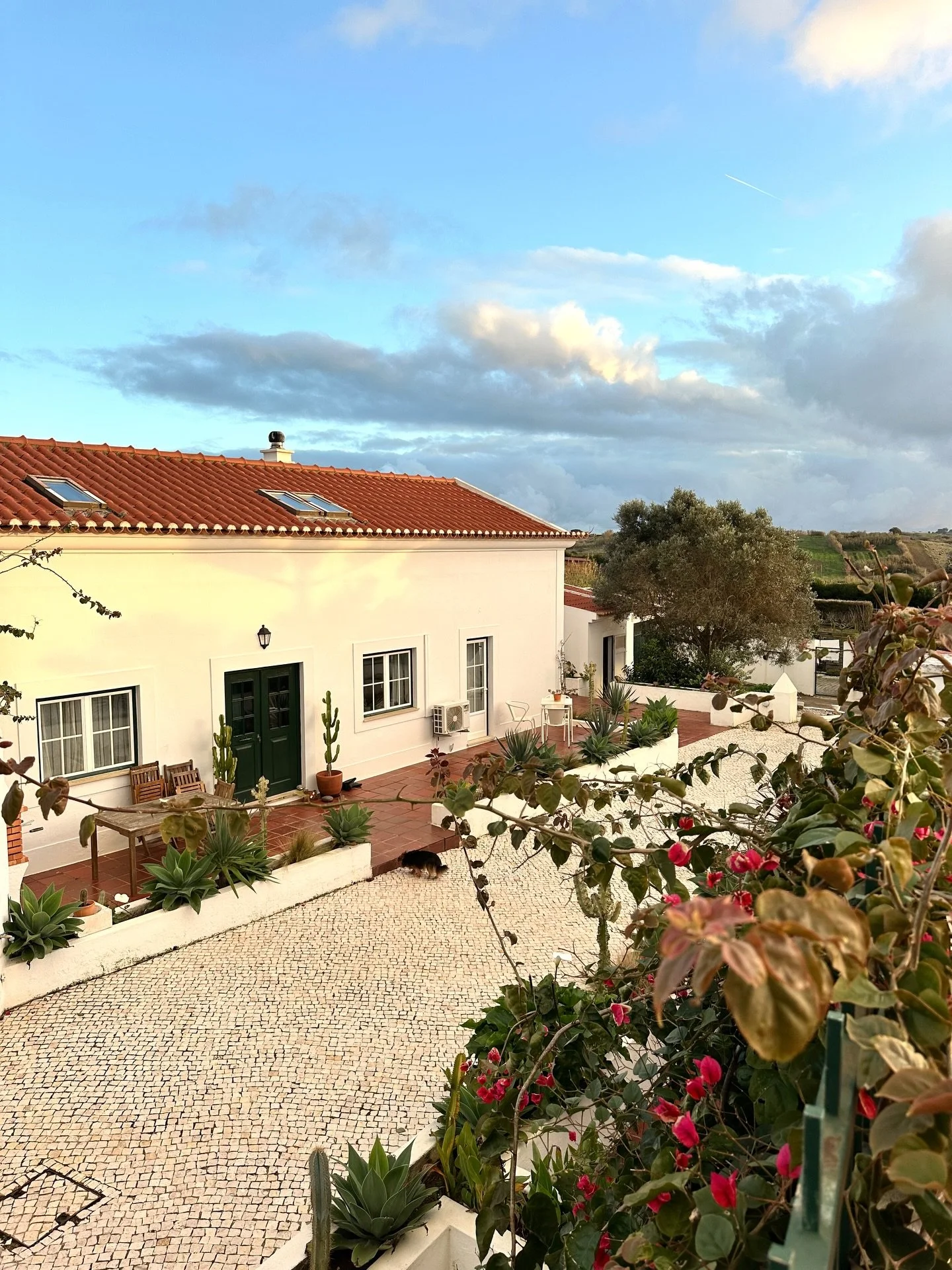 Wow it&rsquo;s been quite the eventful week🤯 Our bathroom renovation is no longer just a bathroom renovation

We started opening a wall in the living room and ended up taking down the entire ceiling🫠 Plus we&rsquo;ve had back to back insane storms,