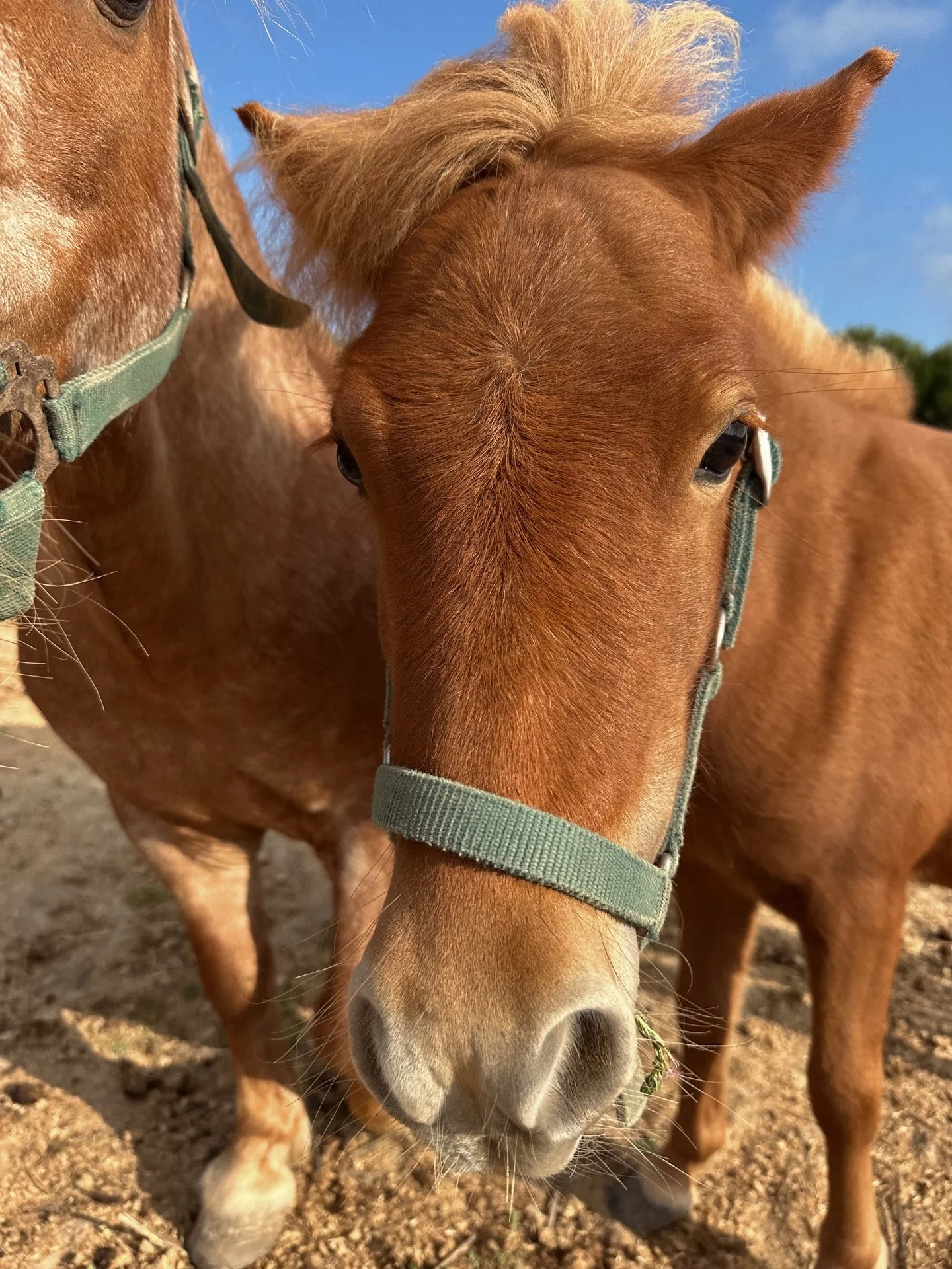 escape, relax, &amp; unwind at our private seaside estate on the coast of Portugal 🌵 start your day with a private yoga session on your patio, or morning surf, followed by a relaxing detox in our wood-fired sauna, read your favourite book by our sal
