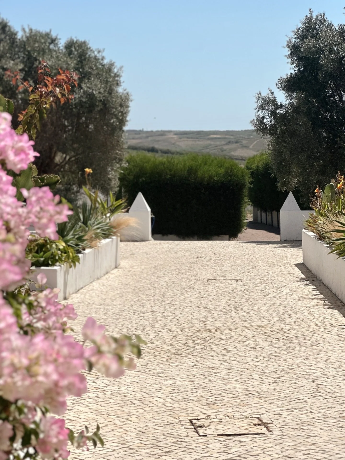 welcome home🌵🌸 we re-open for the season April 7th&hellip;

book your nature retreat: https://www.blancobungalow.com

#portugal #farmstay #nature #seaside