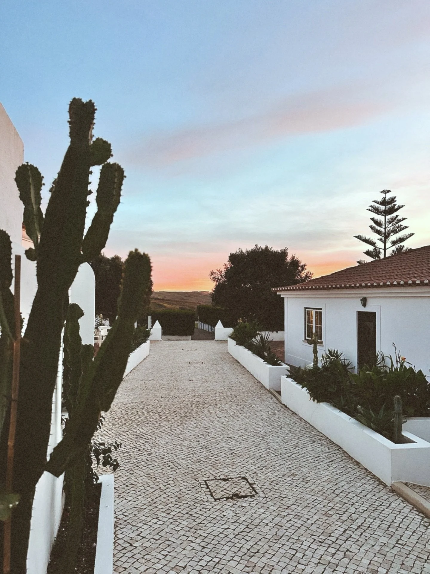 hacienda dreams🌵🌺 #blancobungalow