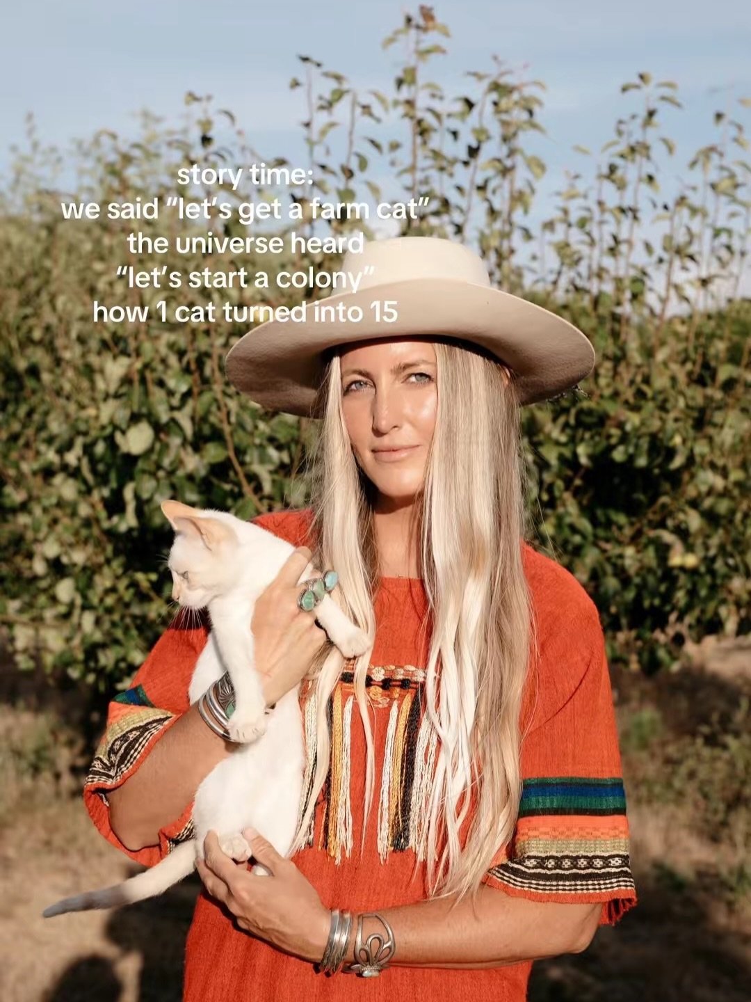 Let me tell you a little story about how we adopted our first cat and it multiplied into 15 cats🐈🐈&zwj;⬛🐈

It all started with my sons obsession of cats. We told him that we found a farm we would get him a cat. So we got a farm and we had to get h