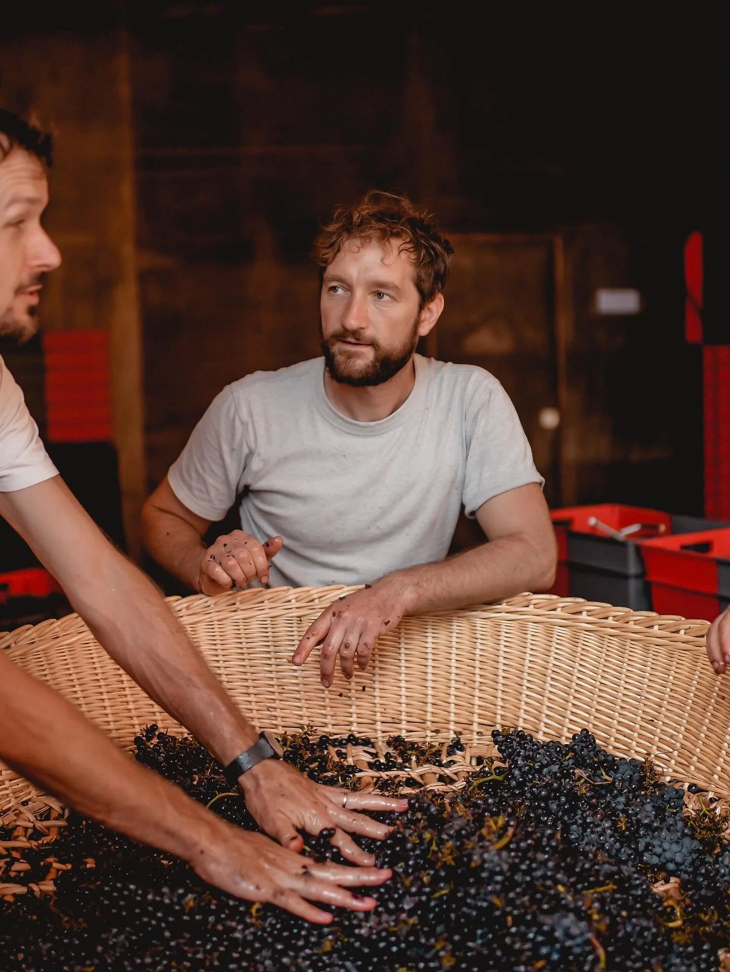 Domaine Pierre WEber, french natural wine maker, wine tasting at The Blanco Bungalow Ericeira, Unfiltered Afternoons2.jpg