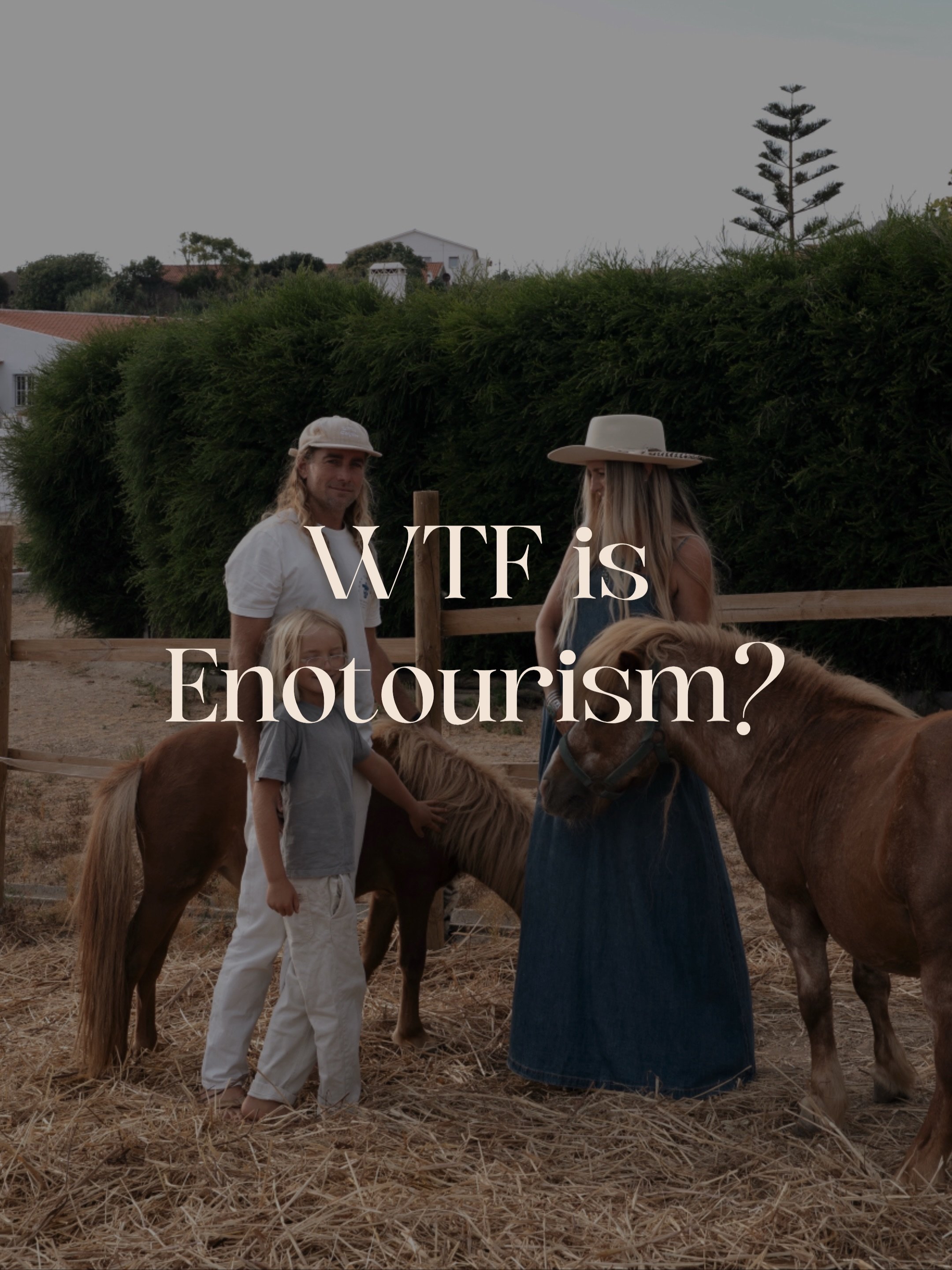 WTF is Enotourism?
Enotourism is traveling to experience wine culture.
But not just drinking wine, learning about it, meeting the people who make it, understanding the land it comes from. 

At Blanco Bungalow, our version of enotourism is centered ar
