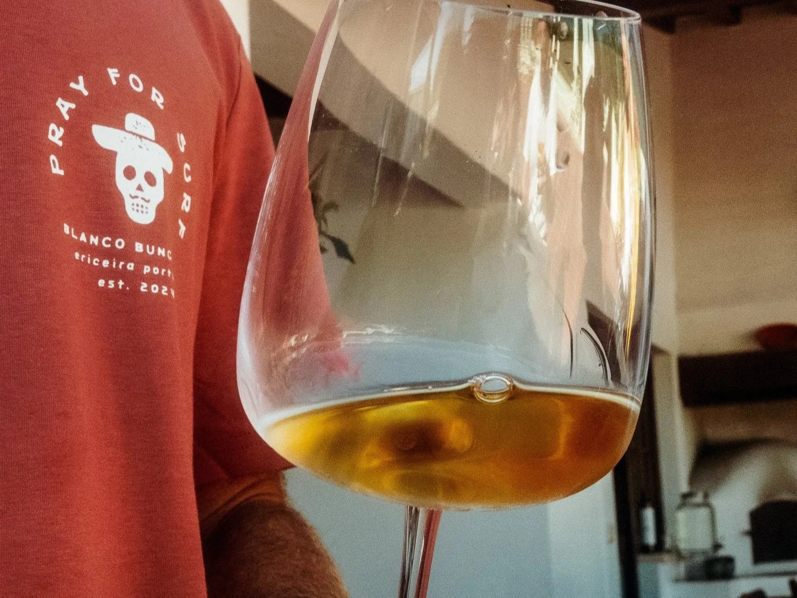 Unfiltered+Afternoons+with+Luis+Gil+from+Marinho+Vinhos%2C+Ericeira+Portugal+10.jpg
