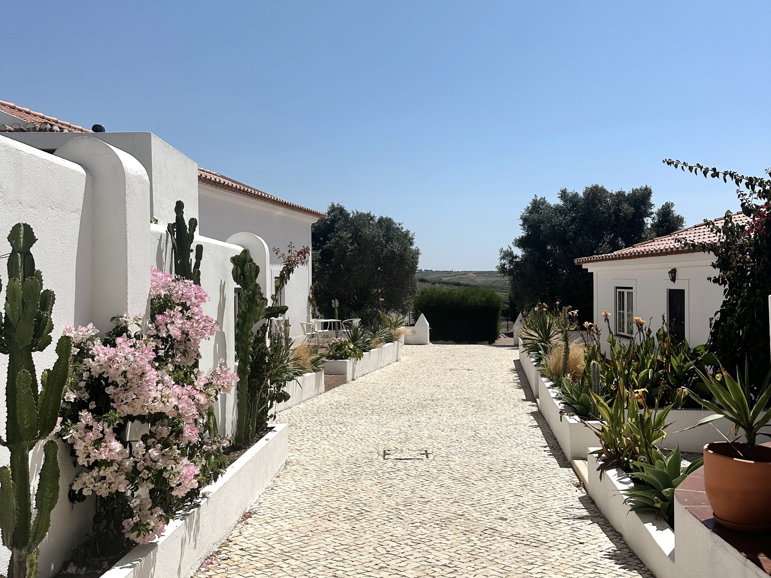 Beautiful floral and cacti entrance at The Blanco Bungalow Ericeira.jpg