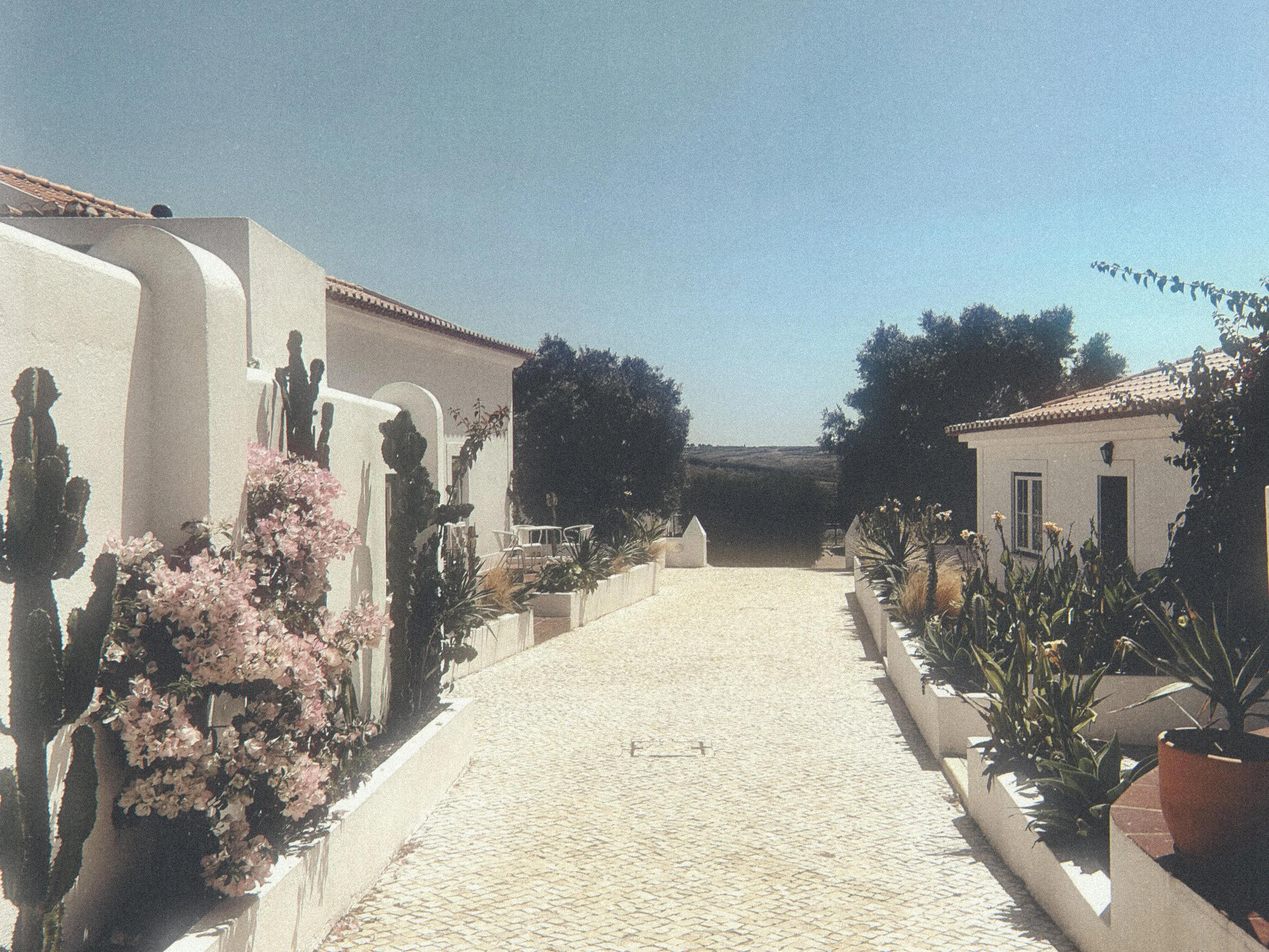 Entrance at The Blanco Bungalow Ericeira Portugal.JPG