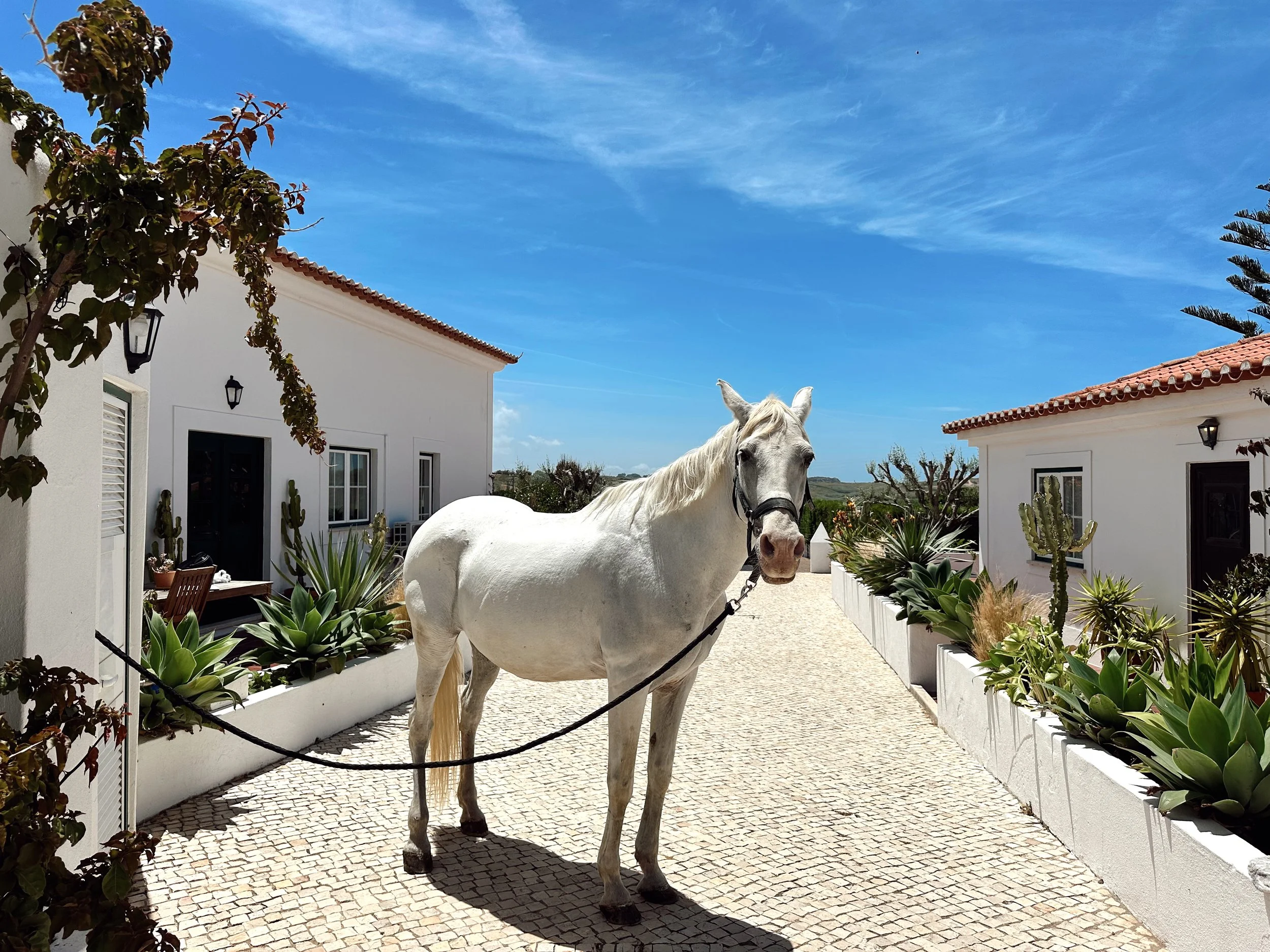 Blanco Bungalow Ranch Residency.JPG
