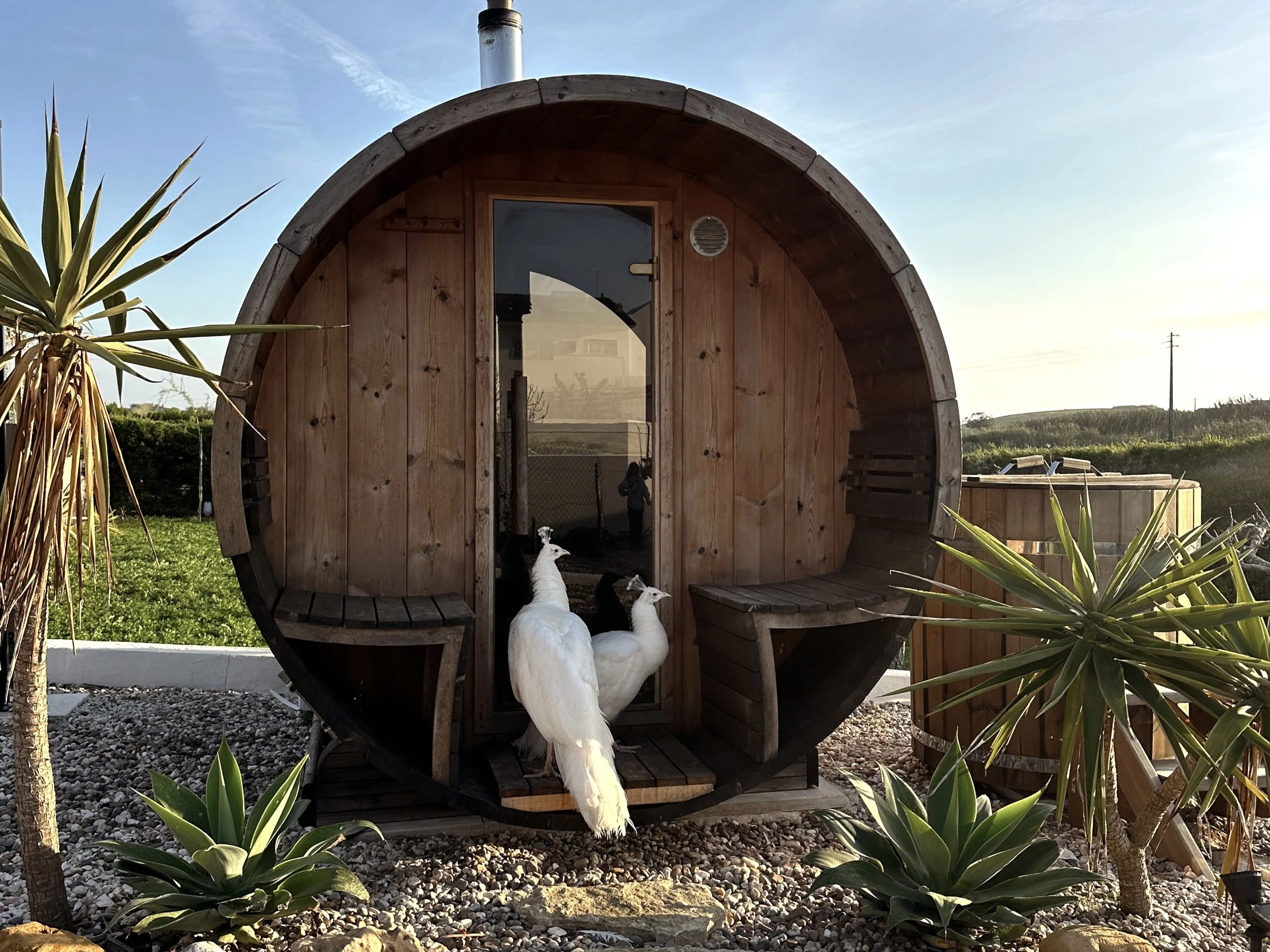 Blanco Bungalow Ranch Residency 2.jpg