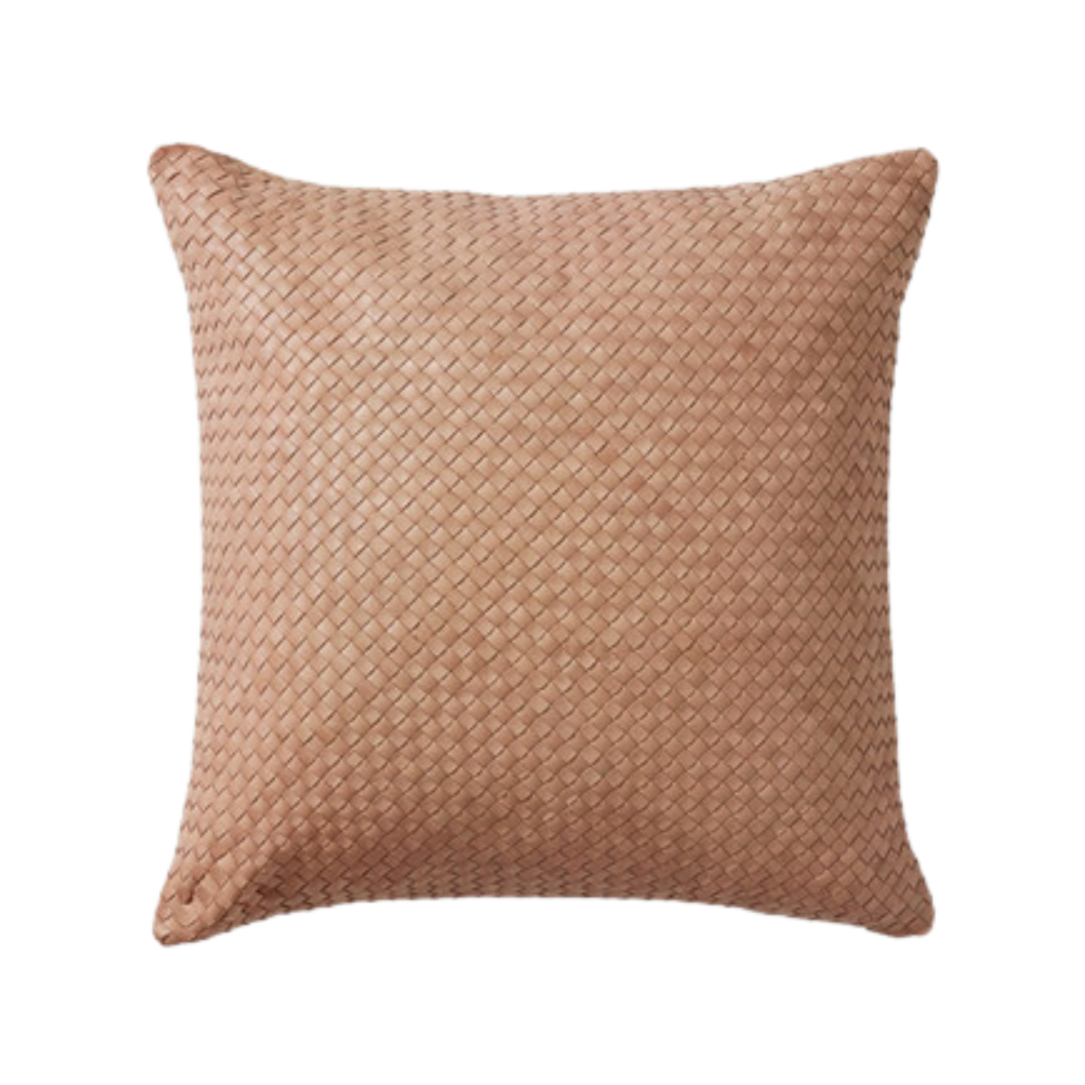 Dhara Leather Pillow