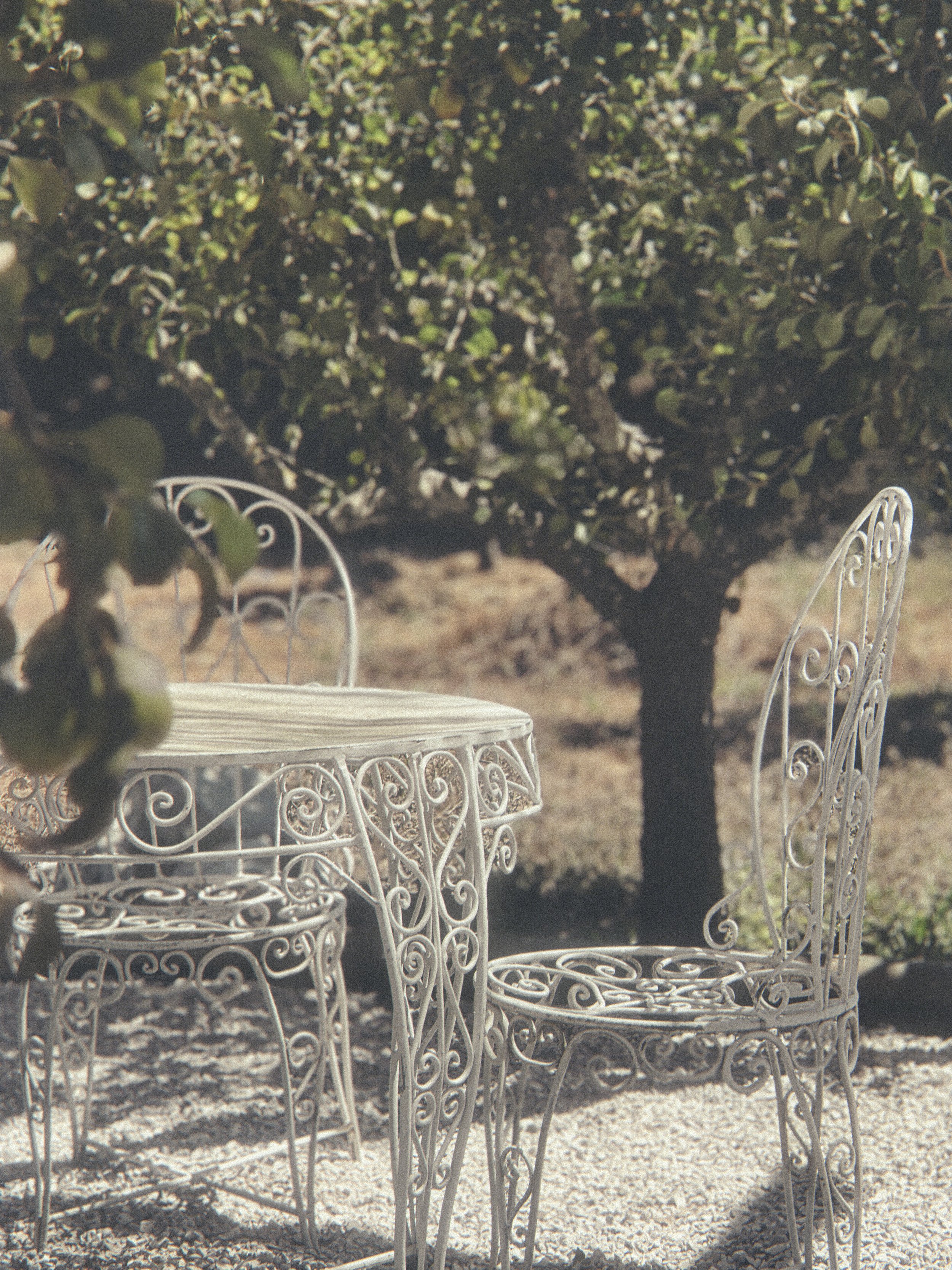 Gardens, orchard and outdoor kitchen at Blanco Bungalow, Ericeira
