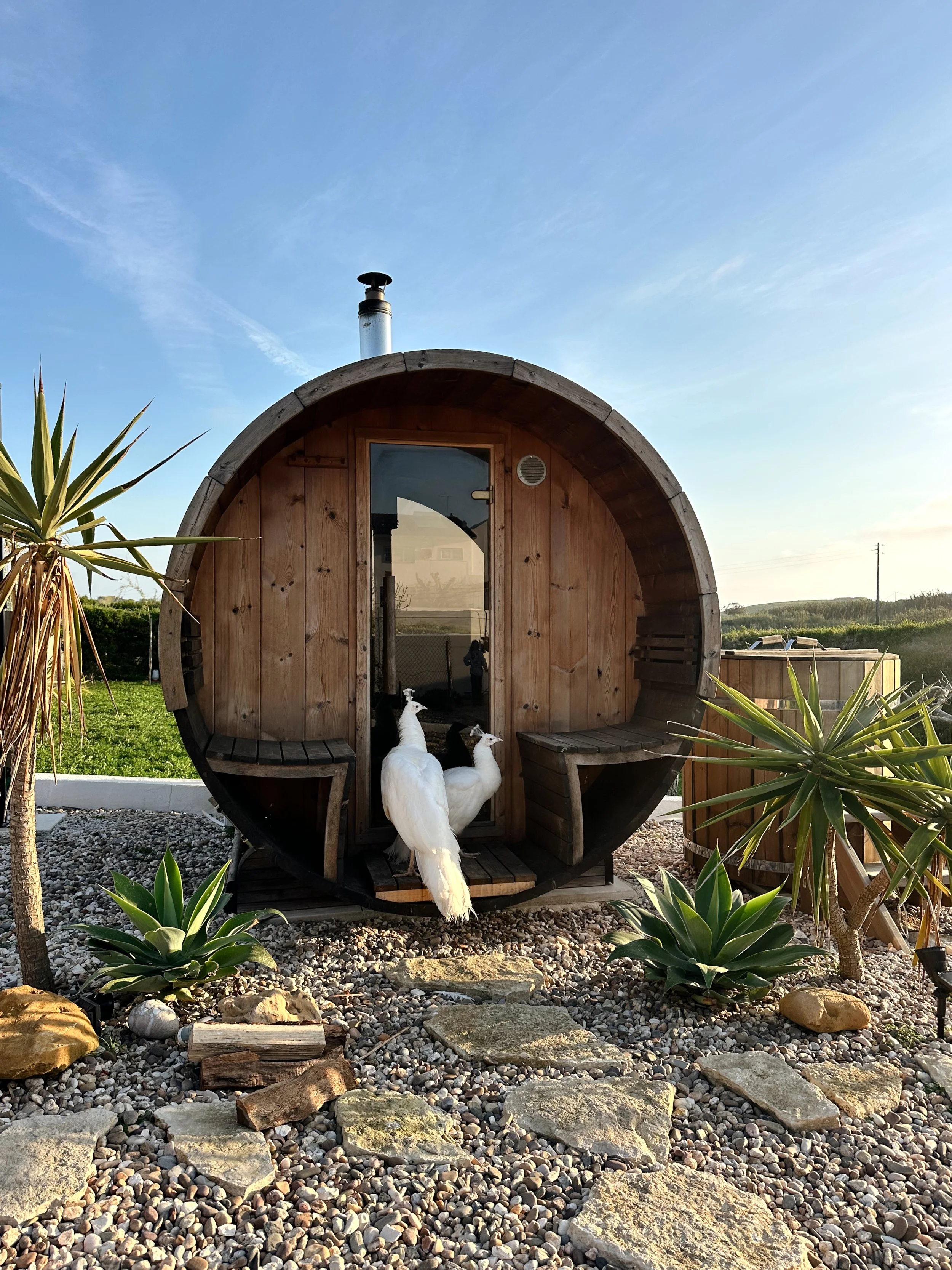 Outdoor barrel sauna and cedar ice bath at The Blanco Bungalow Ericeira