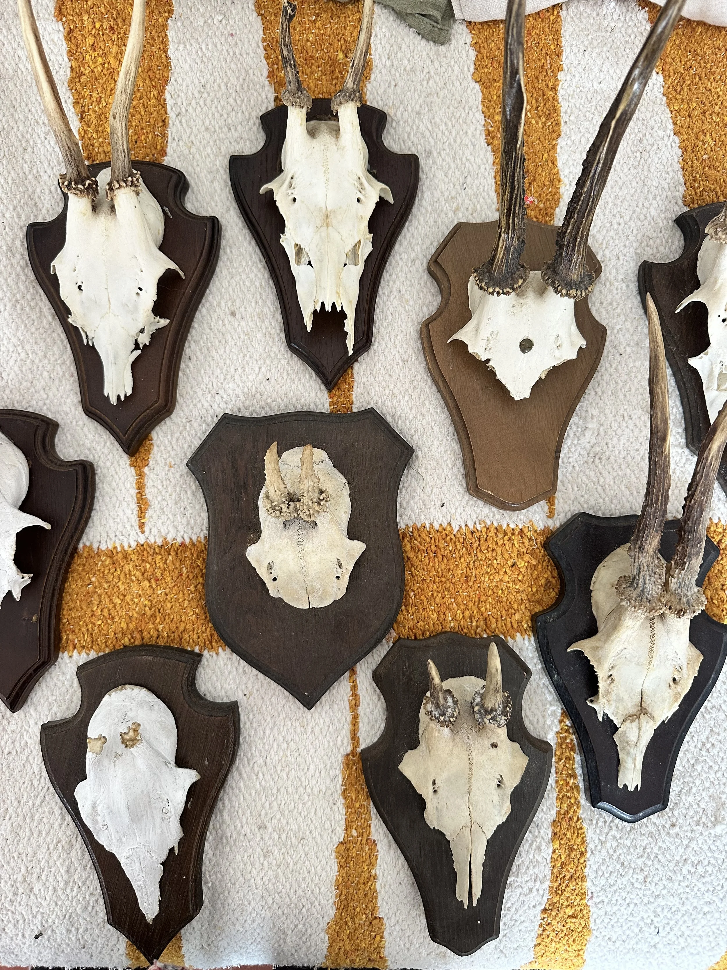 The Blanco Bungalow Ericeira Portugal: From Quick Fix to Full Gut: How a “Simple” Bathroom Update Became a Whole-House Rebuild