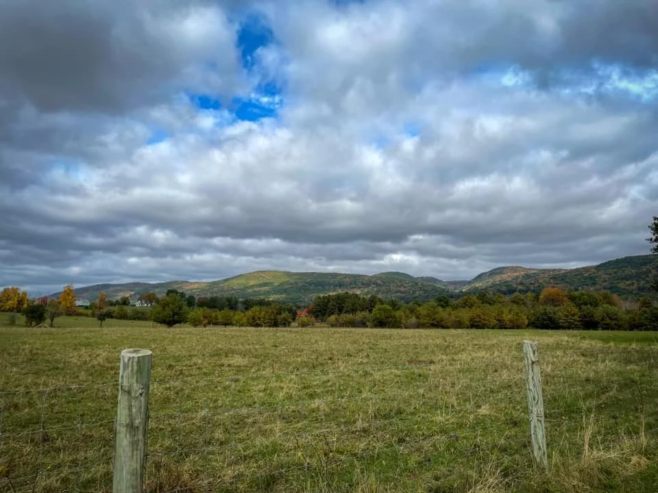 Berkshire Lee fall 2021.jpg