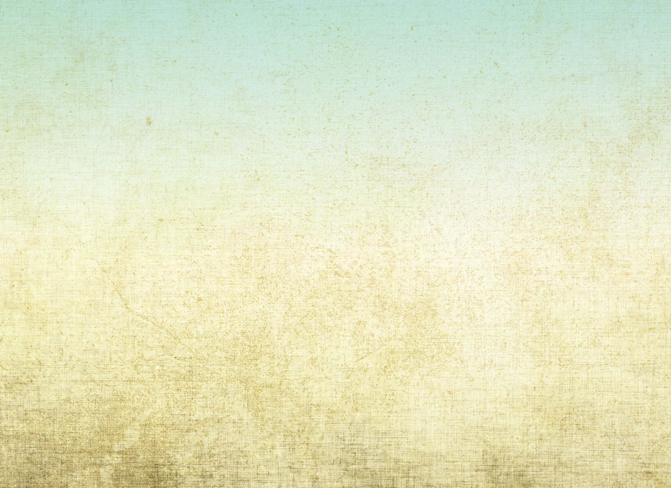 MSR_website_contact.jpg