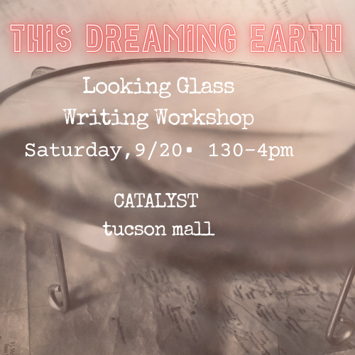 Looking Glass Workshop