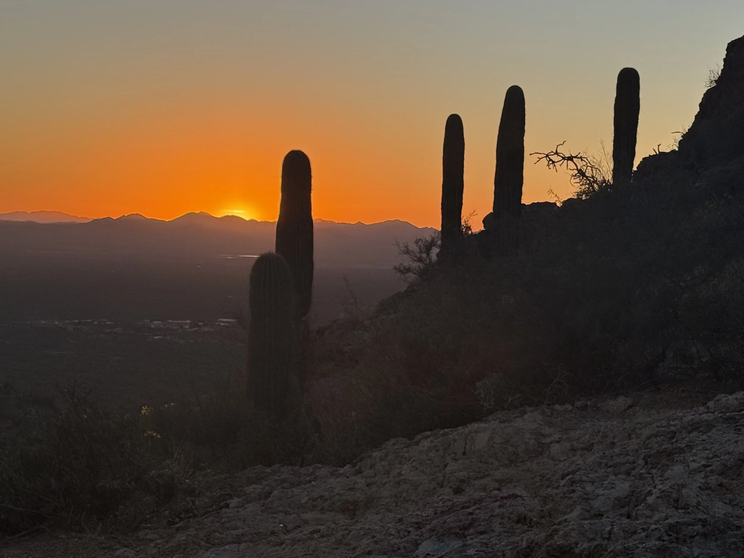 img desert at sunset.jpeg