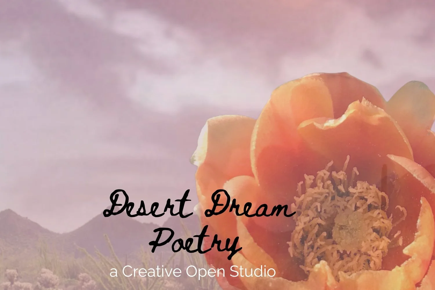 Desert Dream Poetry