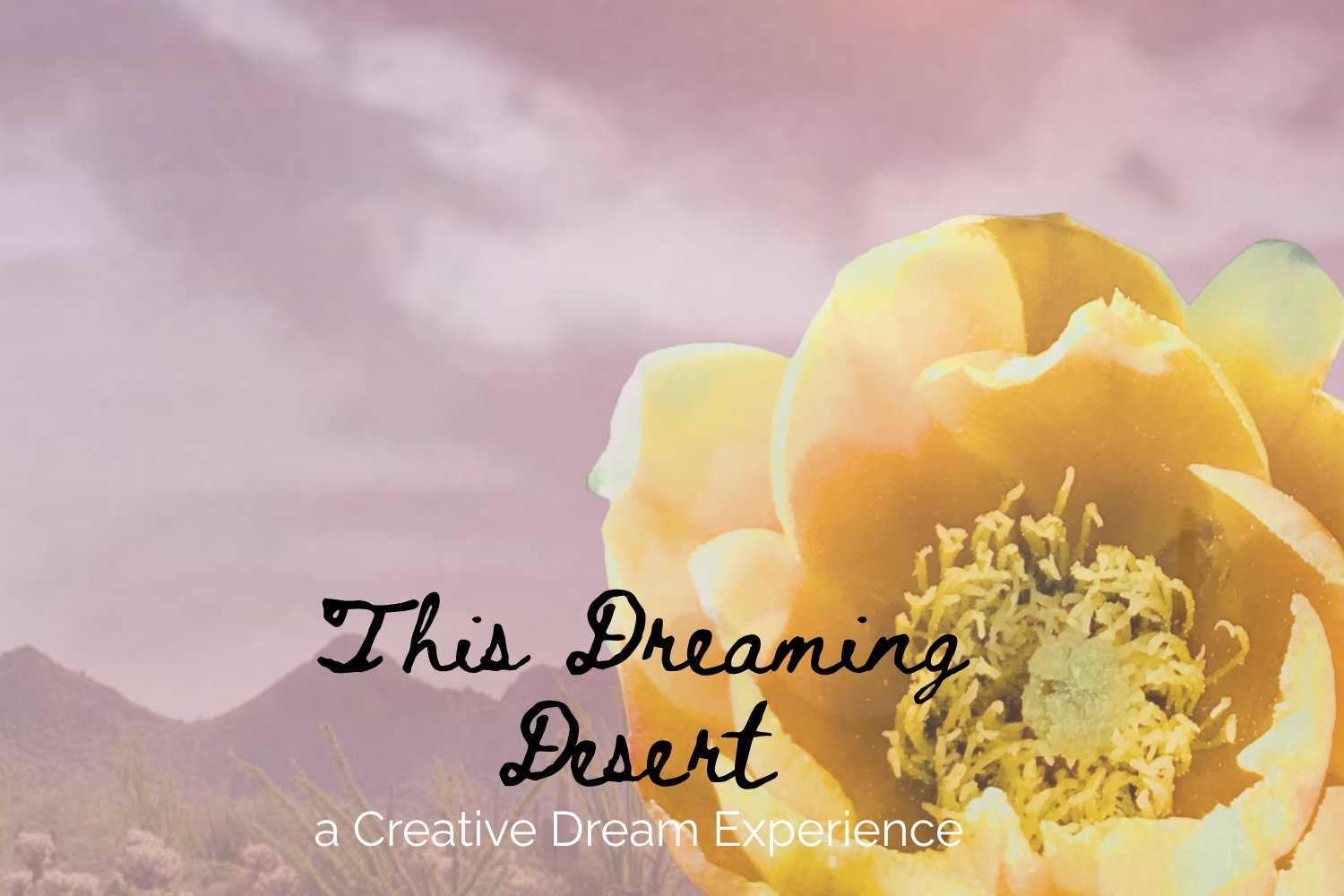 This Dreaming Desert: Creative Dream Experience