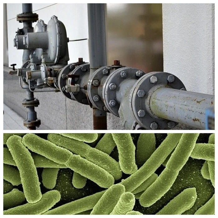 PWS Total Coliform Rule Guidance — Westward