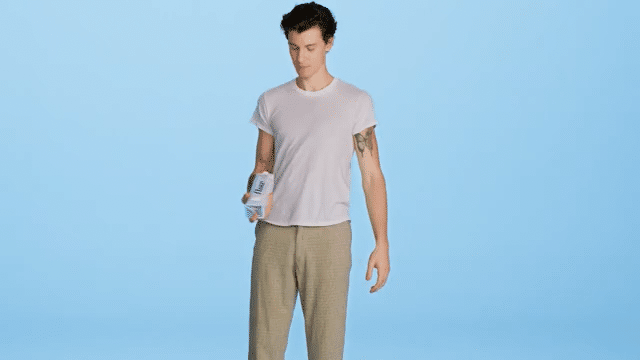 Shawn Mendes FLOW-low.gif