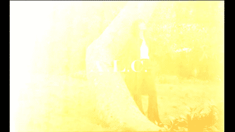 ALC 16MM 1 MIN FINAL-low.gif