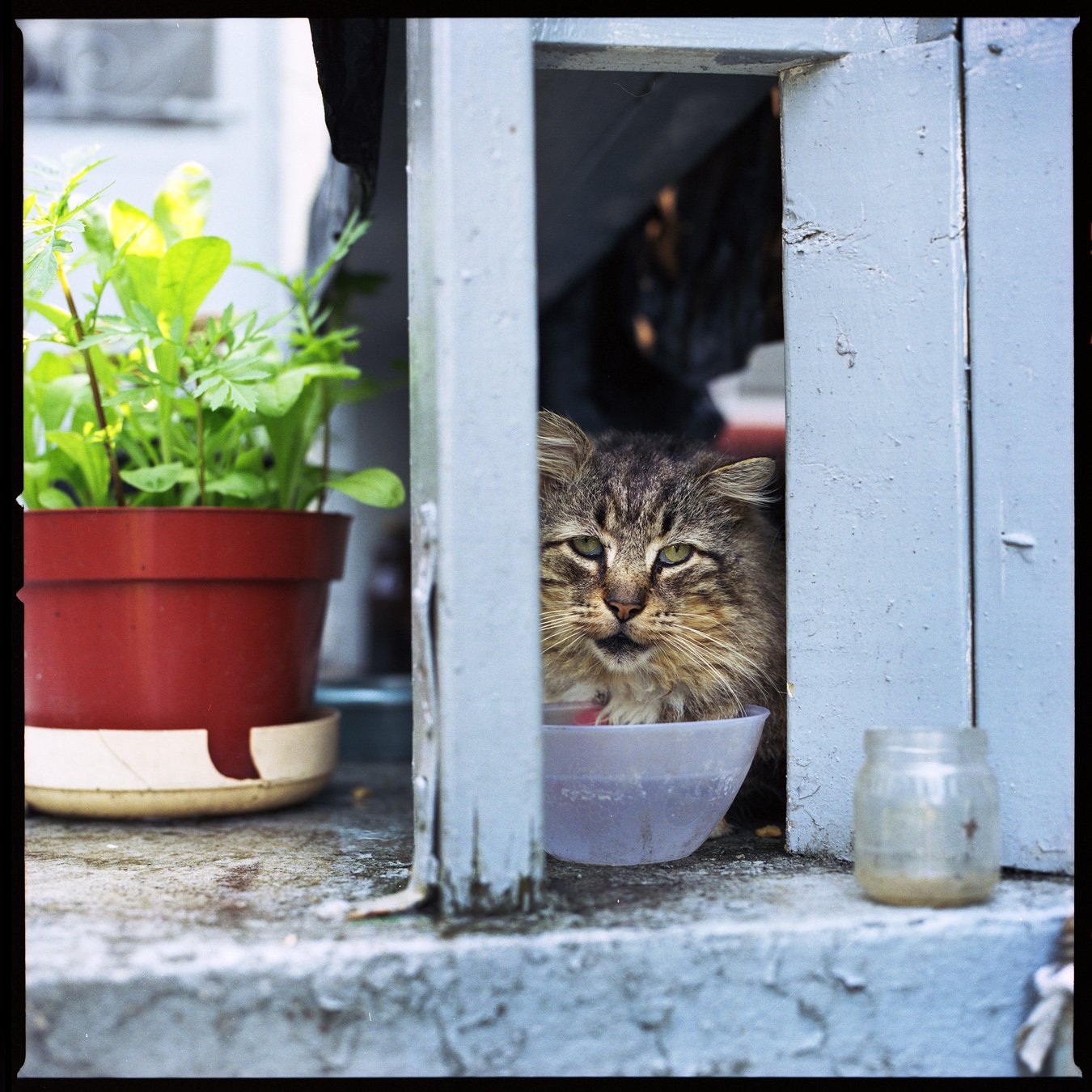 Toronto Archive Scans029.jpg