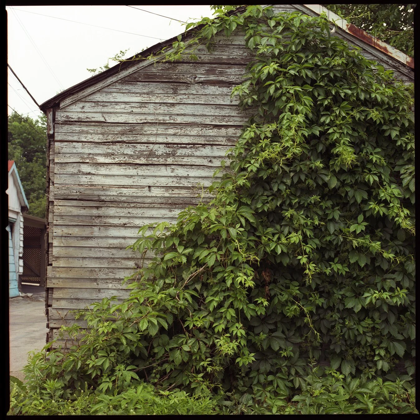 Toronto Archive Scans035.jpg