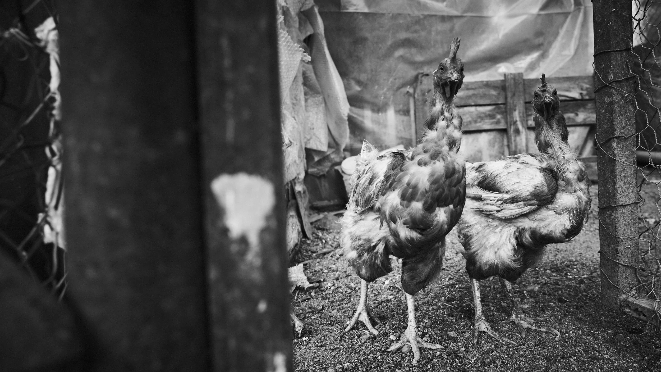 TOMMY AGRIODIMAS Greece Summer 2019_DSC9439.jpg