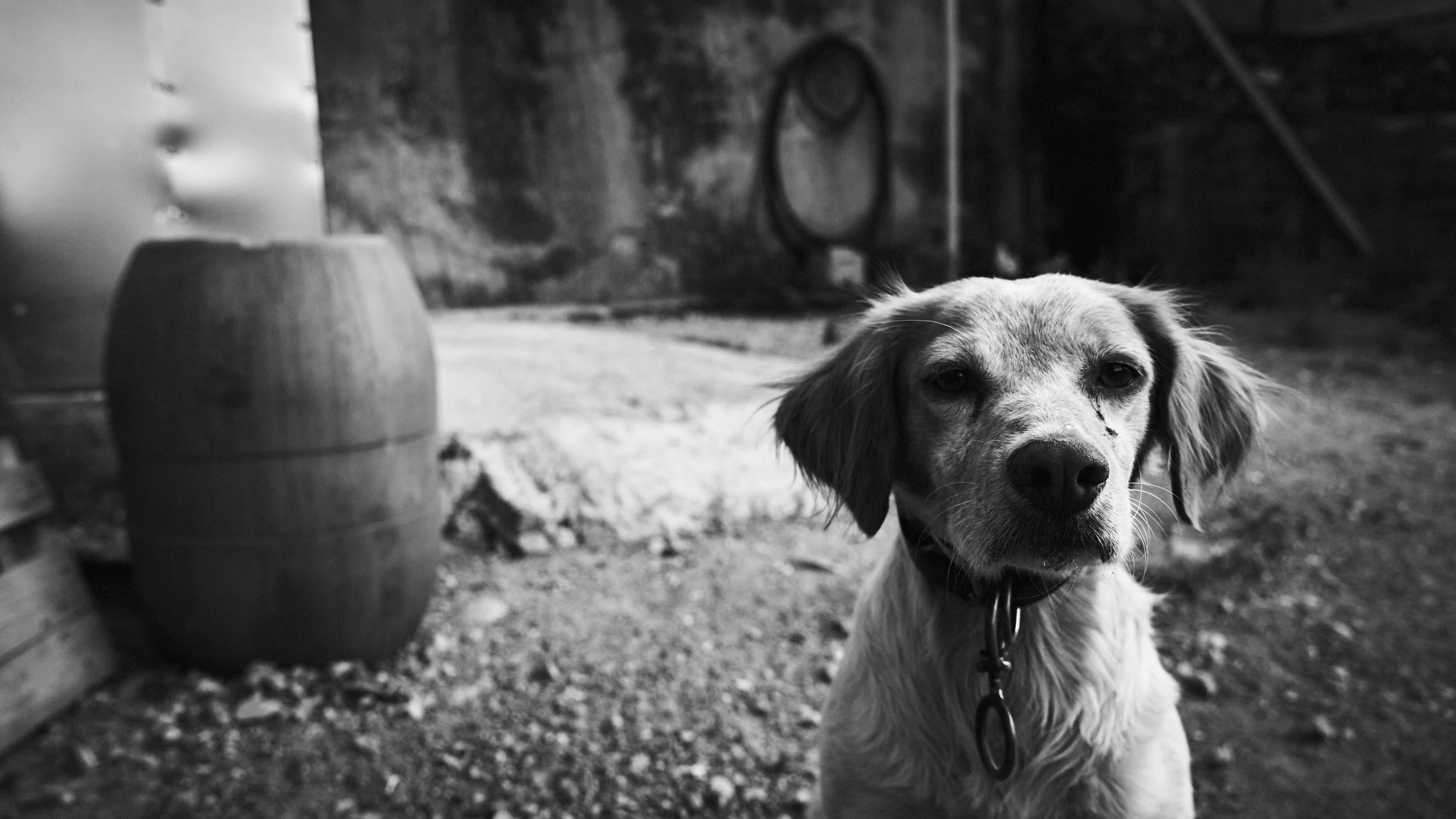 TOMMY AGRIODIMAS Greece Summer 2019_DSC9448.jpg