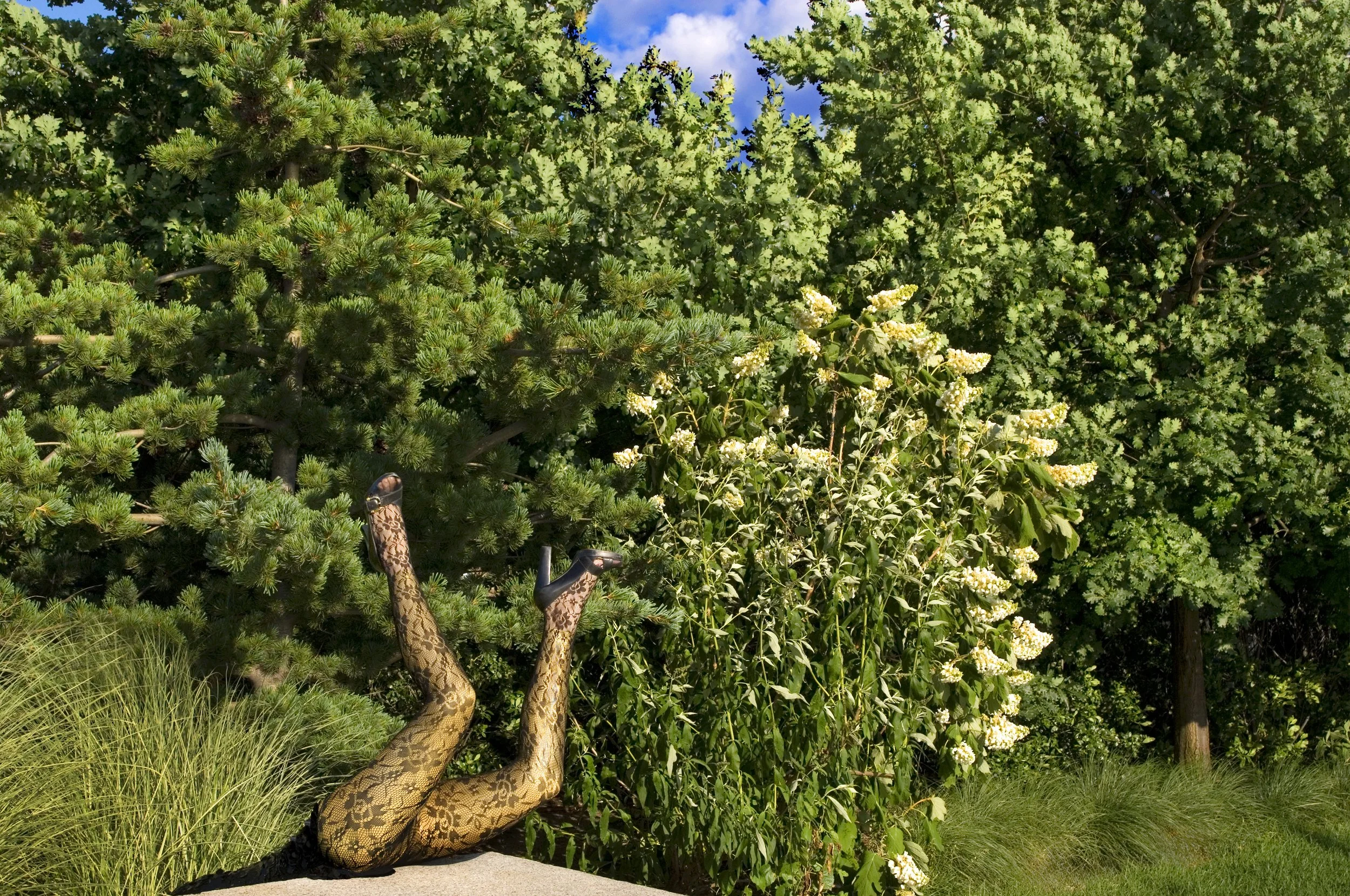 Agriodimas LEGS archive_6.jpg