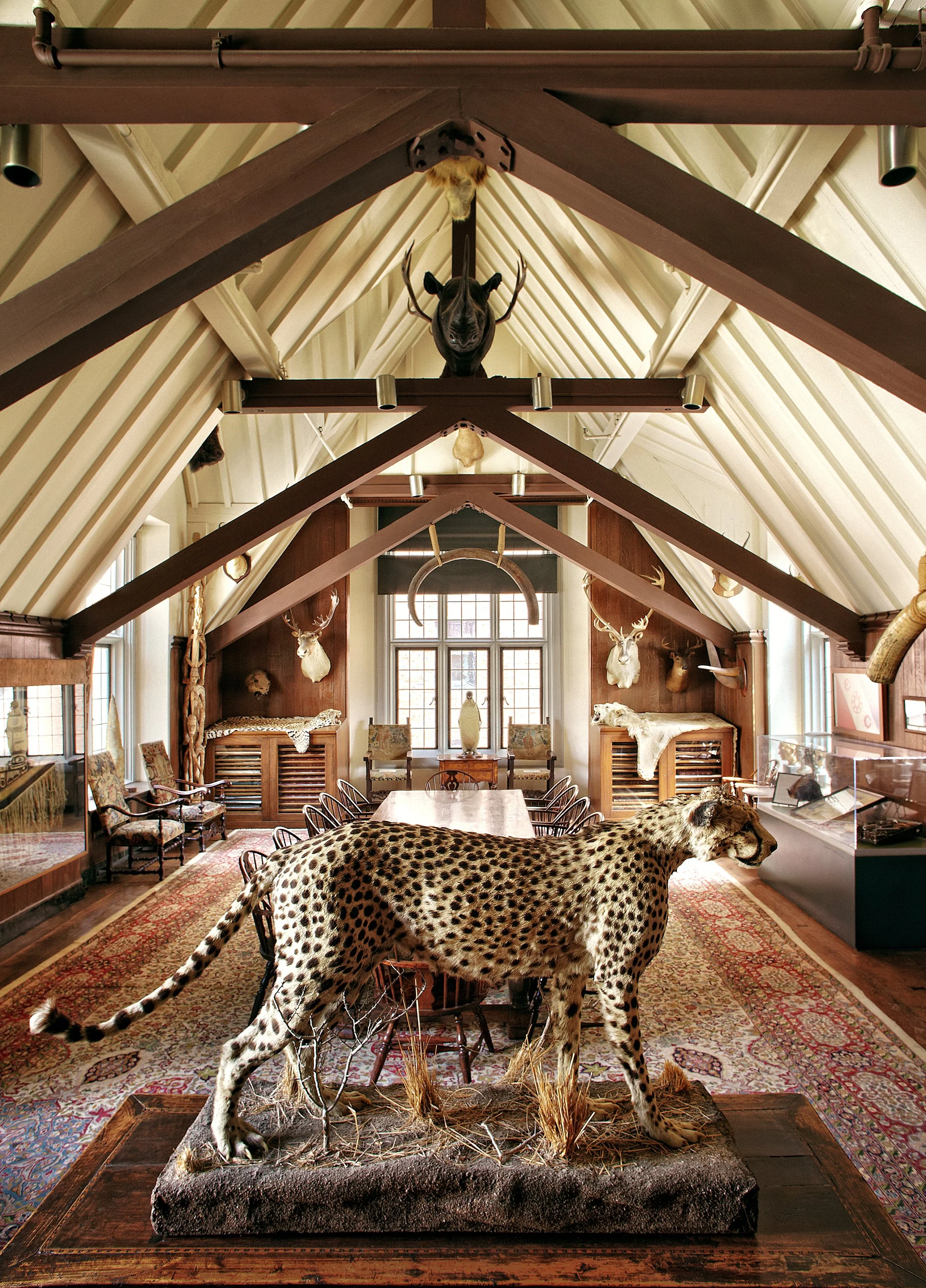 Explorers_Club_TA_ 0184 FINAL V3 web.jpg