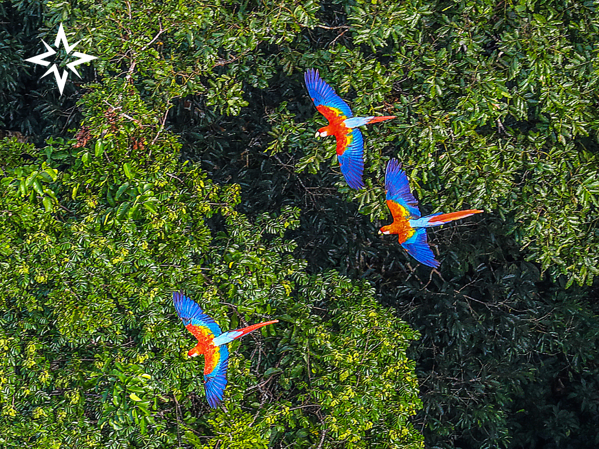 NSA Around the World: South America