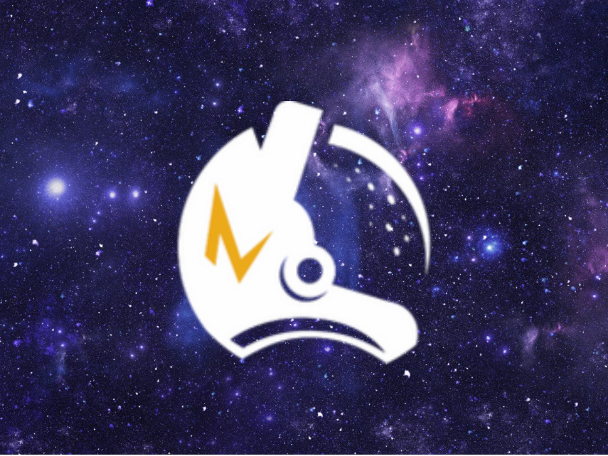 Navi’s Fun Adventure: Curiosity