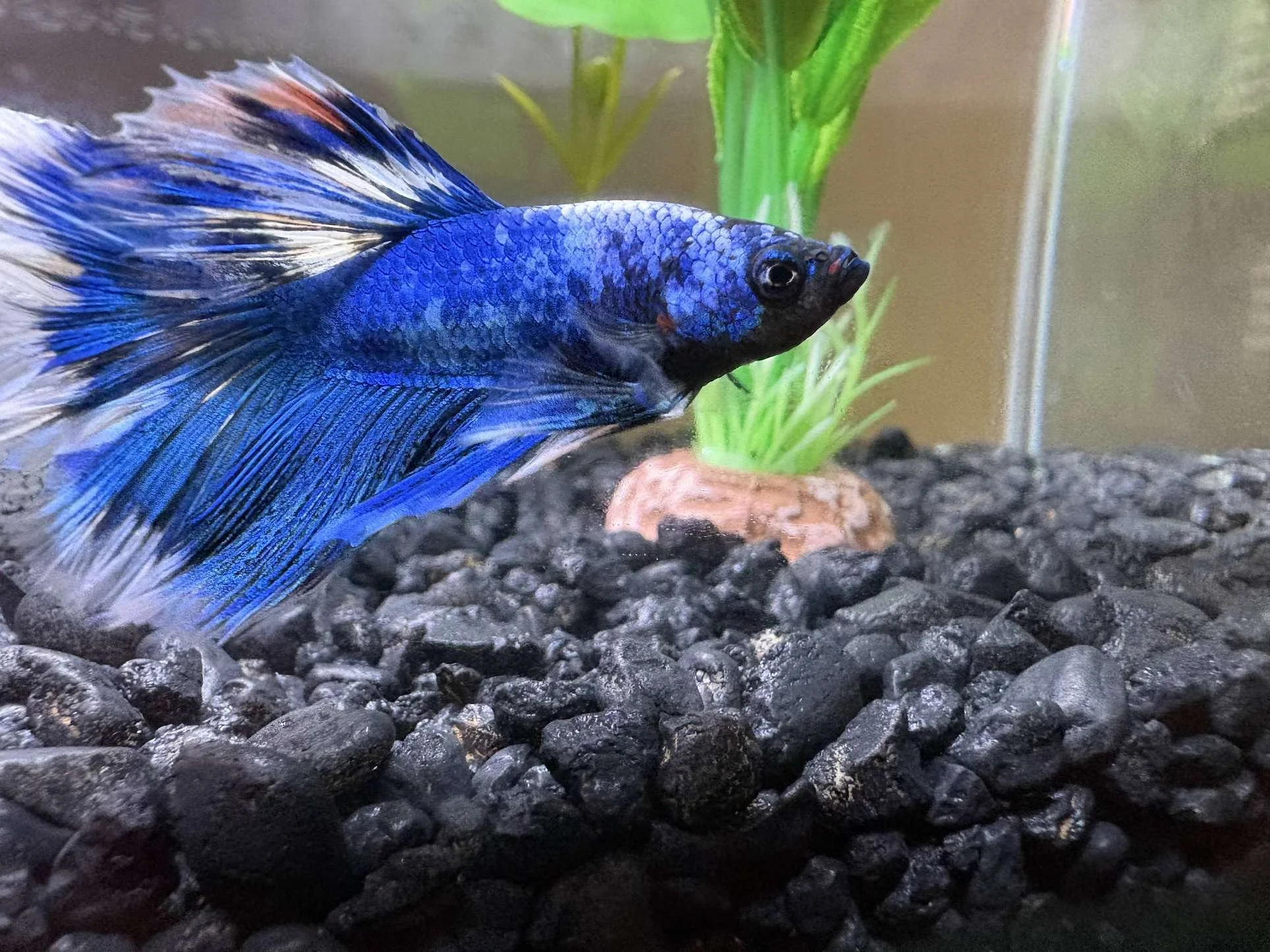 Loki’s Aquarium: When God Says “Not Yet”