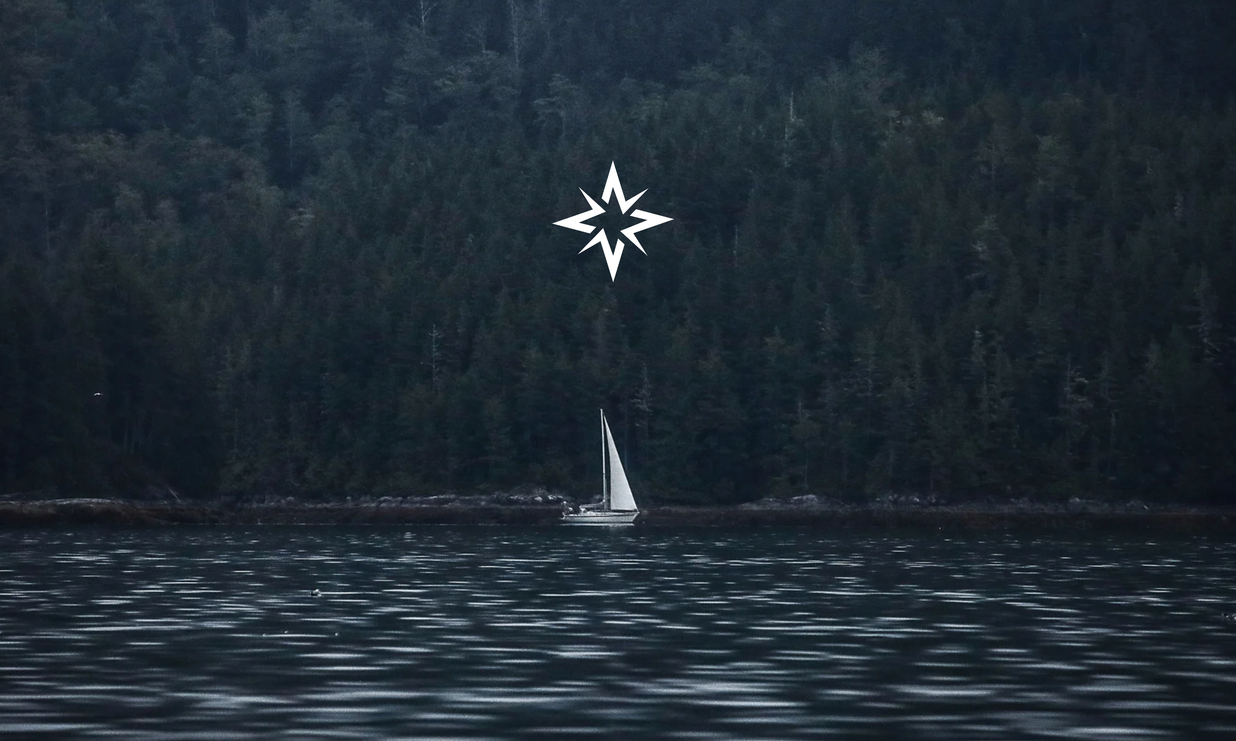 Home Page (3).png