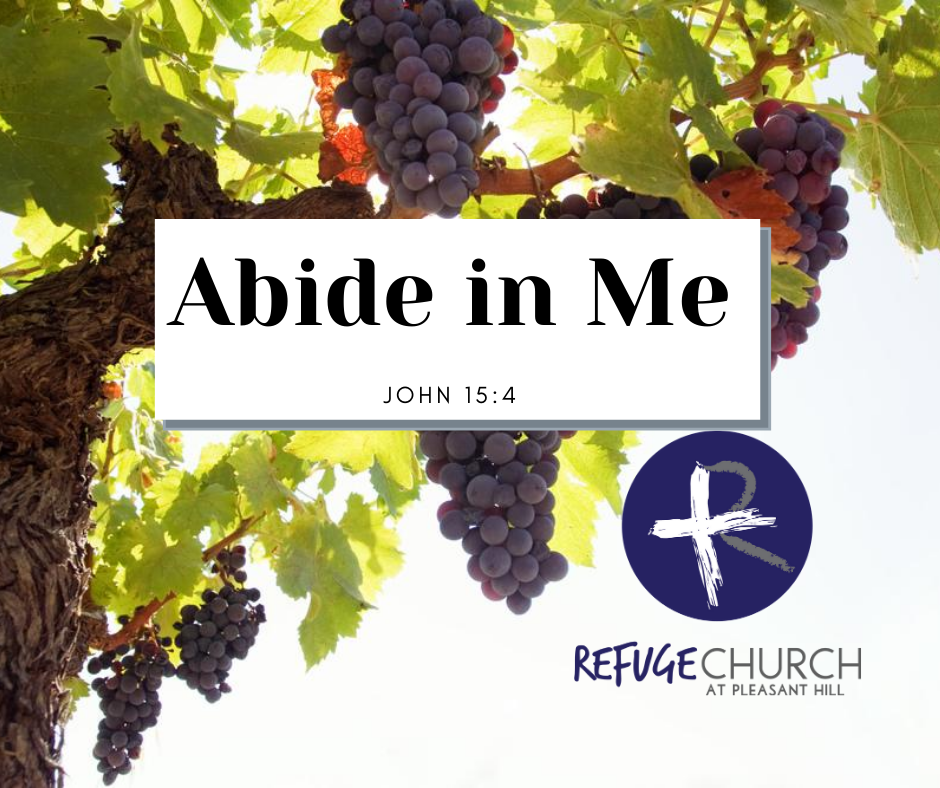 Abide in Me (Day 5) - Pruning