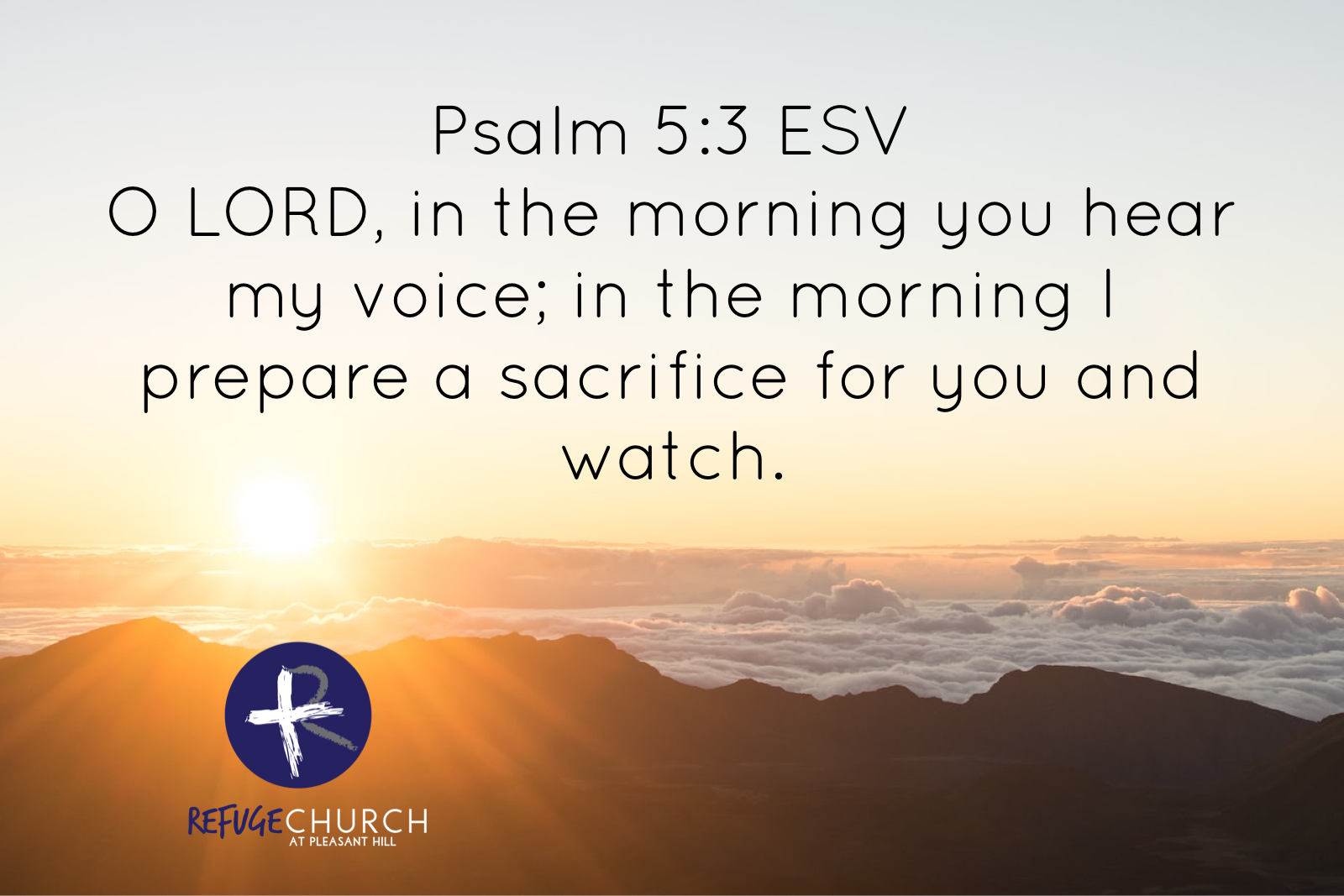 The Morning Hour