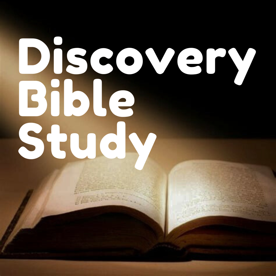 How to do a discovery bible study