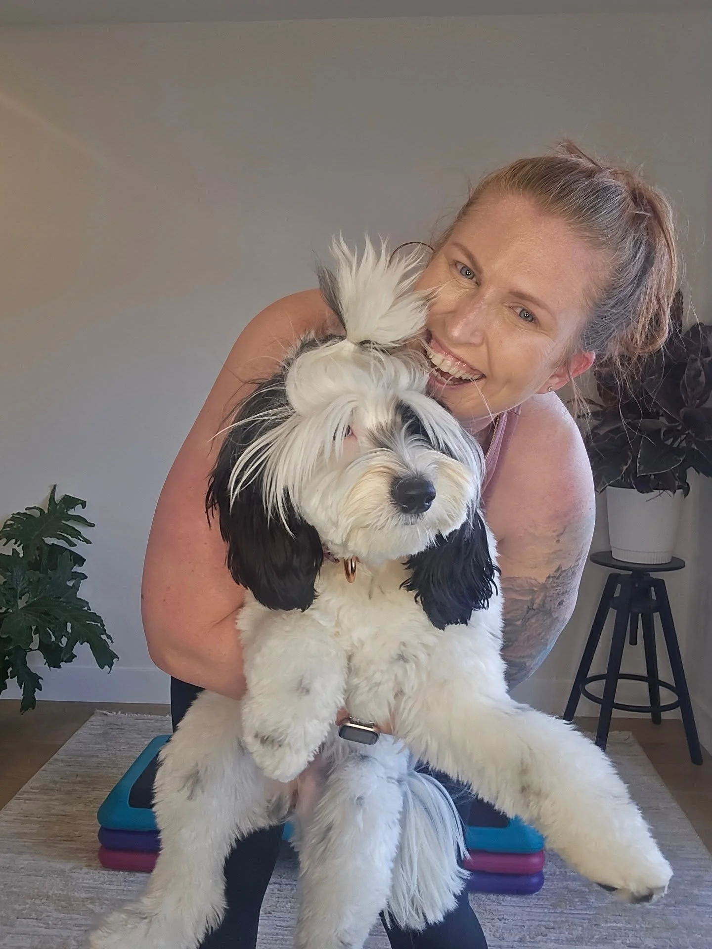 Still time to get in on my 8 weeks Foundations of strength and healthy habits workshop ON SALE. 

BONUS... many cameos by @adventuresofpollypup 

Link in bio!

#NorthernRedfitness #personaltrainer #motivation #womenshealth