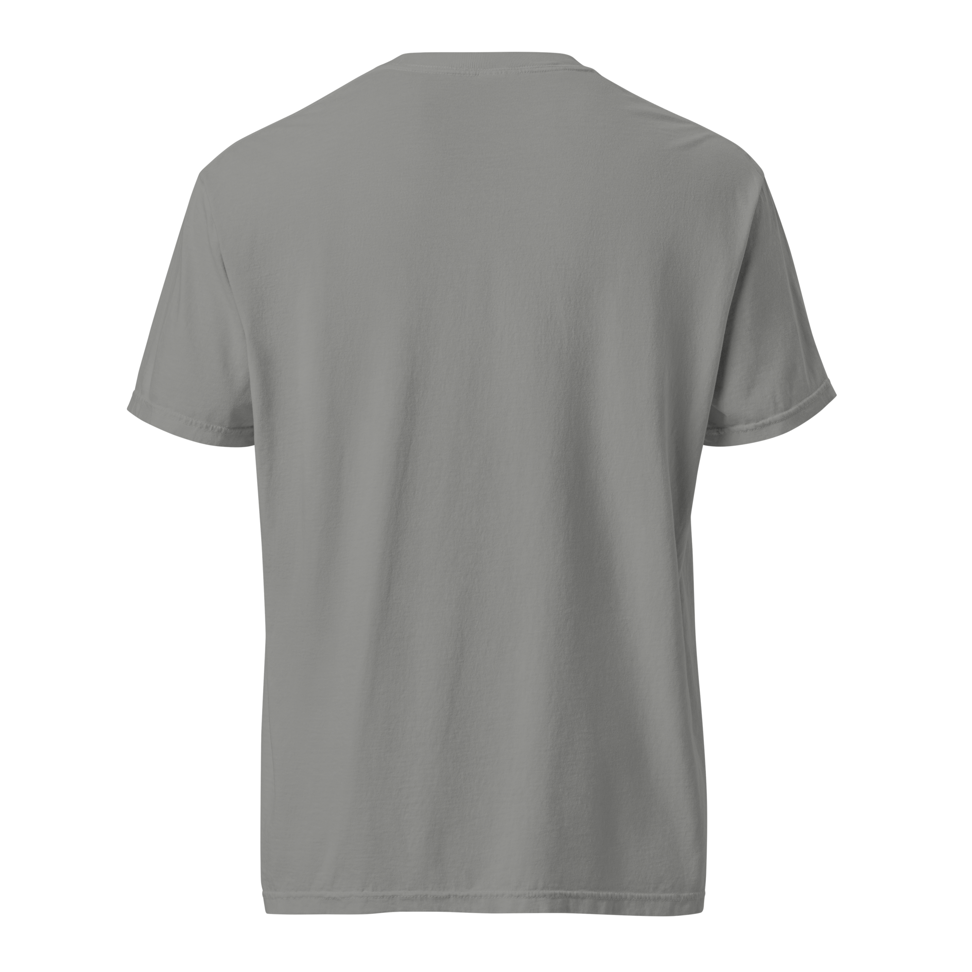 unisex-garment-dyed-heavyweight-t-shirt-grey-back-69a3761224cf0.png