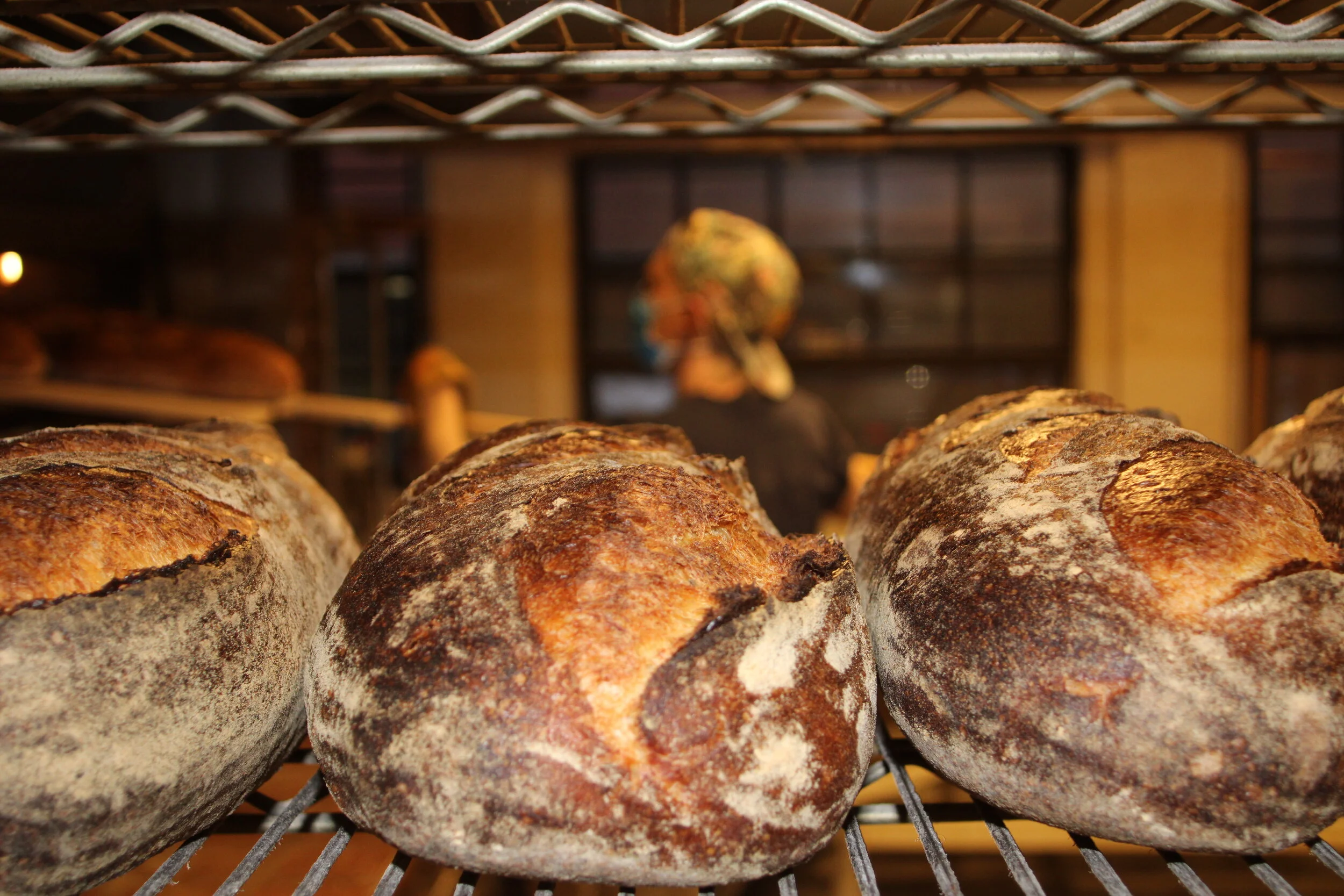 Standard Baking Company &amp; Local Grains for MGA