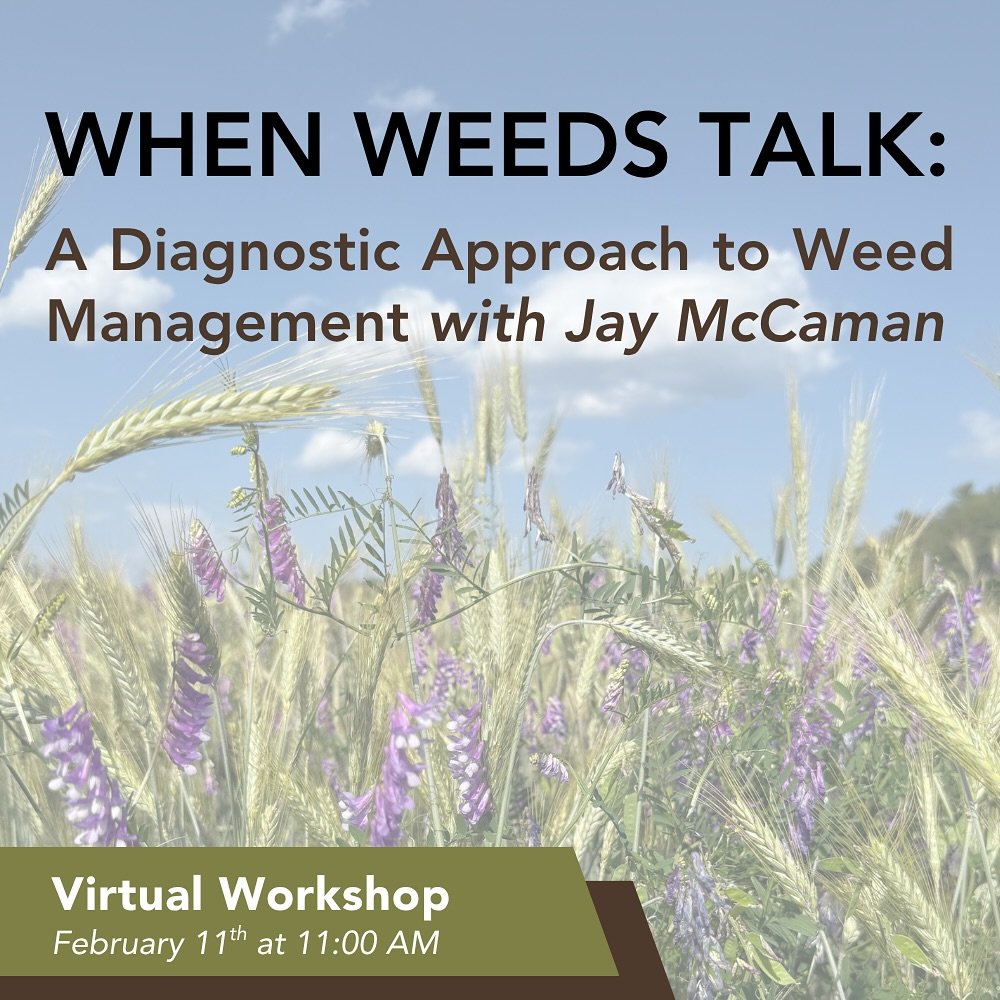 Your weeds are trying to tell you something and Jay McCaman (author of When Weeds Talk) has spent his career learning their language!

Join us for a virtual workshop on February 11th, where Jay will share practical insights on how to recognize what w