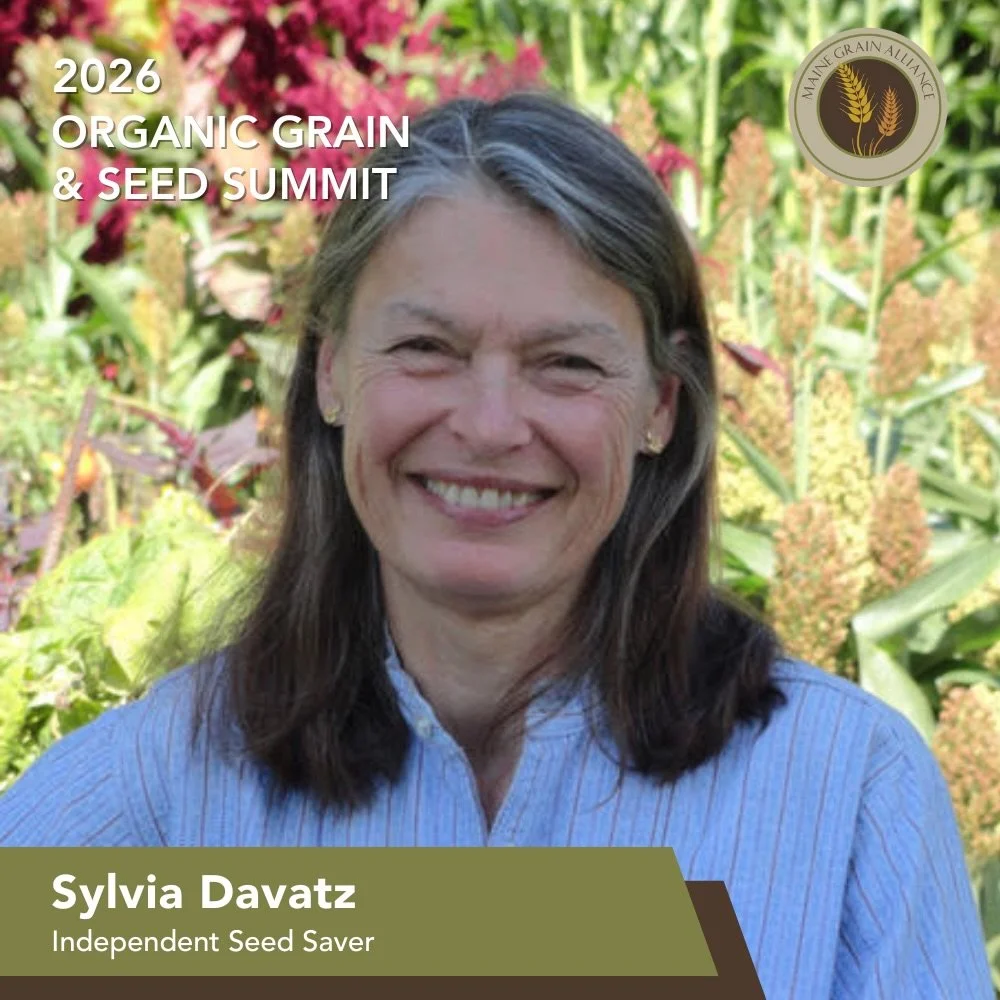 Yes, you can grow rice in the Northeast (and it won&rsquo;t require any flooded paddies either)! 

In fact, there&rsquo;s a long tradition of growing rice in dry upland conditions that permit crops to thrive in well-managed garden beds and farm field
