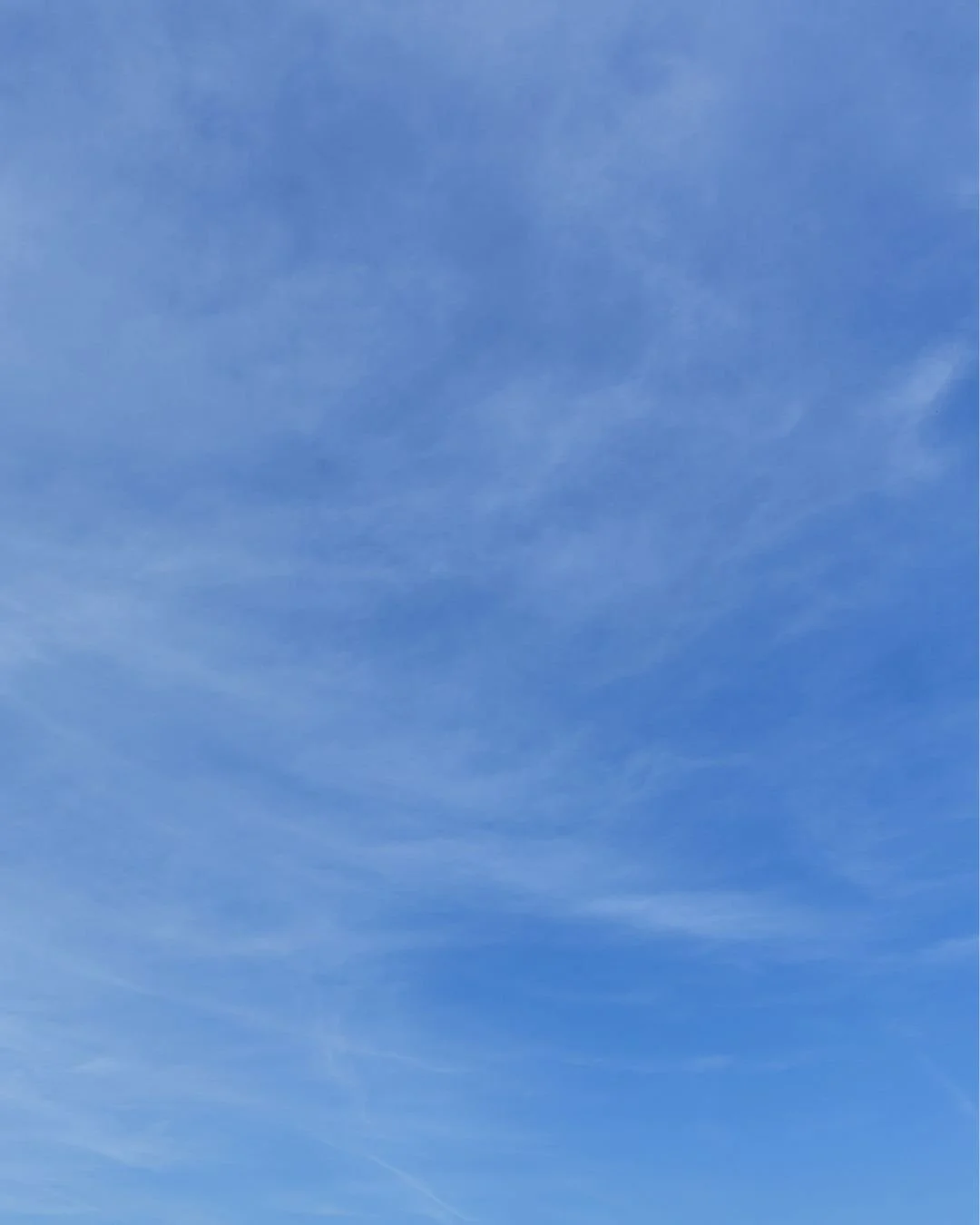 Palate cleanser: it's a beautiful blue sky day here in Maine. Happy spring! ☀️