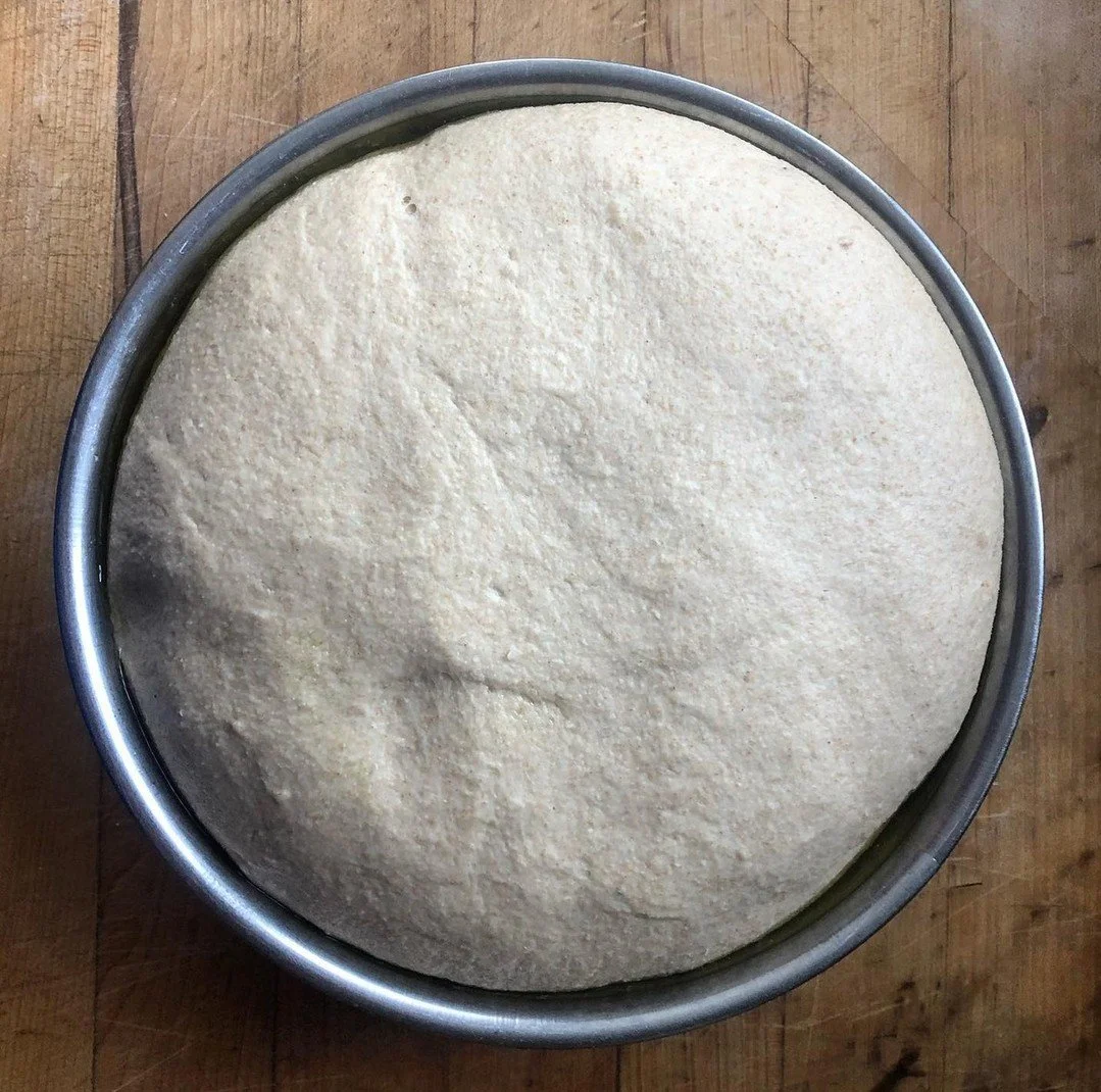 The quiet work of fermentation. No rush, just chemistry and patience.