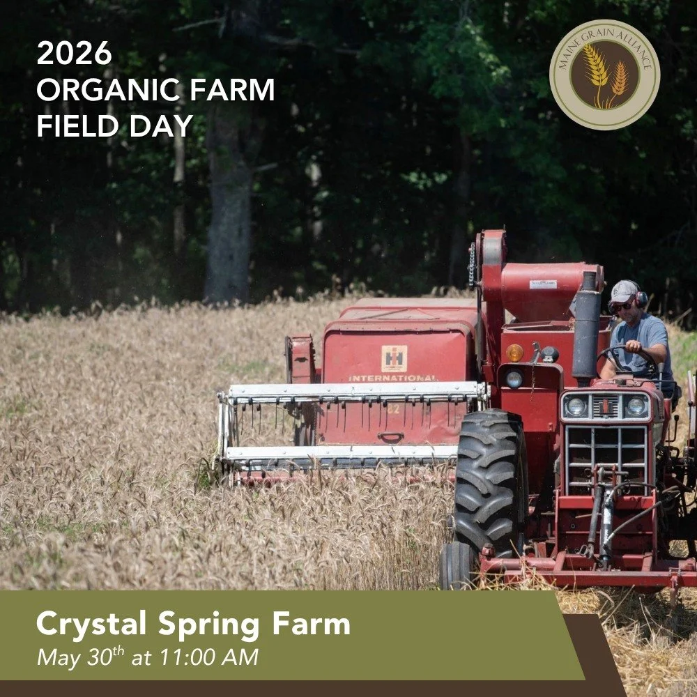 Curious how grains can fit into a veggie farm? 🌾

Join Seth Kroeck at Crystal Spring Farm for a first-hand look at his organic grain operation, exploring the successes, the lessons learned, and how grains fit into the rhythm of the farm as a whole.
