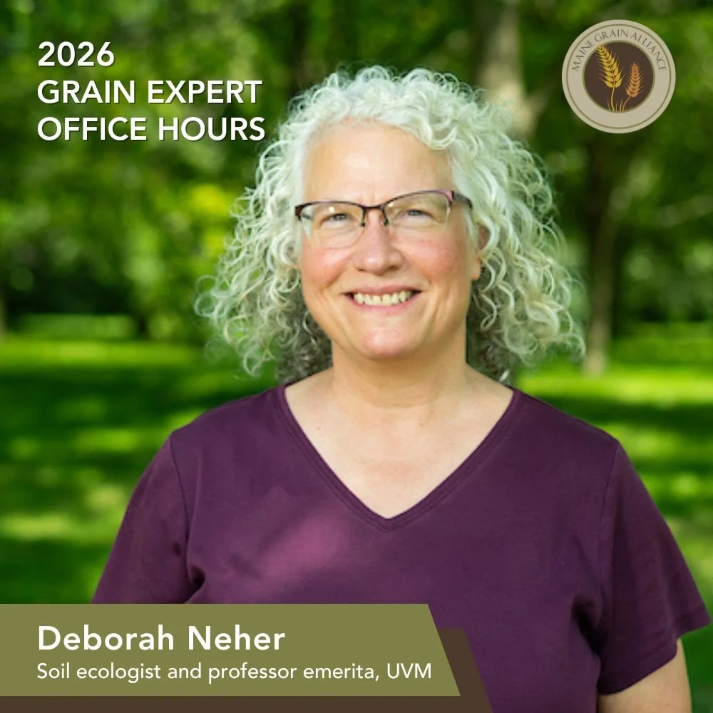 As part of MGA's ongoing efforts to support organic/transitioning grain growers, we are now hosting office hour sessions with experts on all sides of the regional grain economy. Deborah (&ldquo;Deb&rdquo;) Neher is a soil ecologist and professor emer