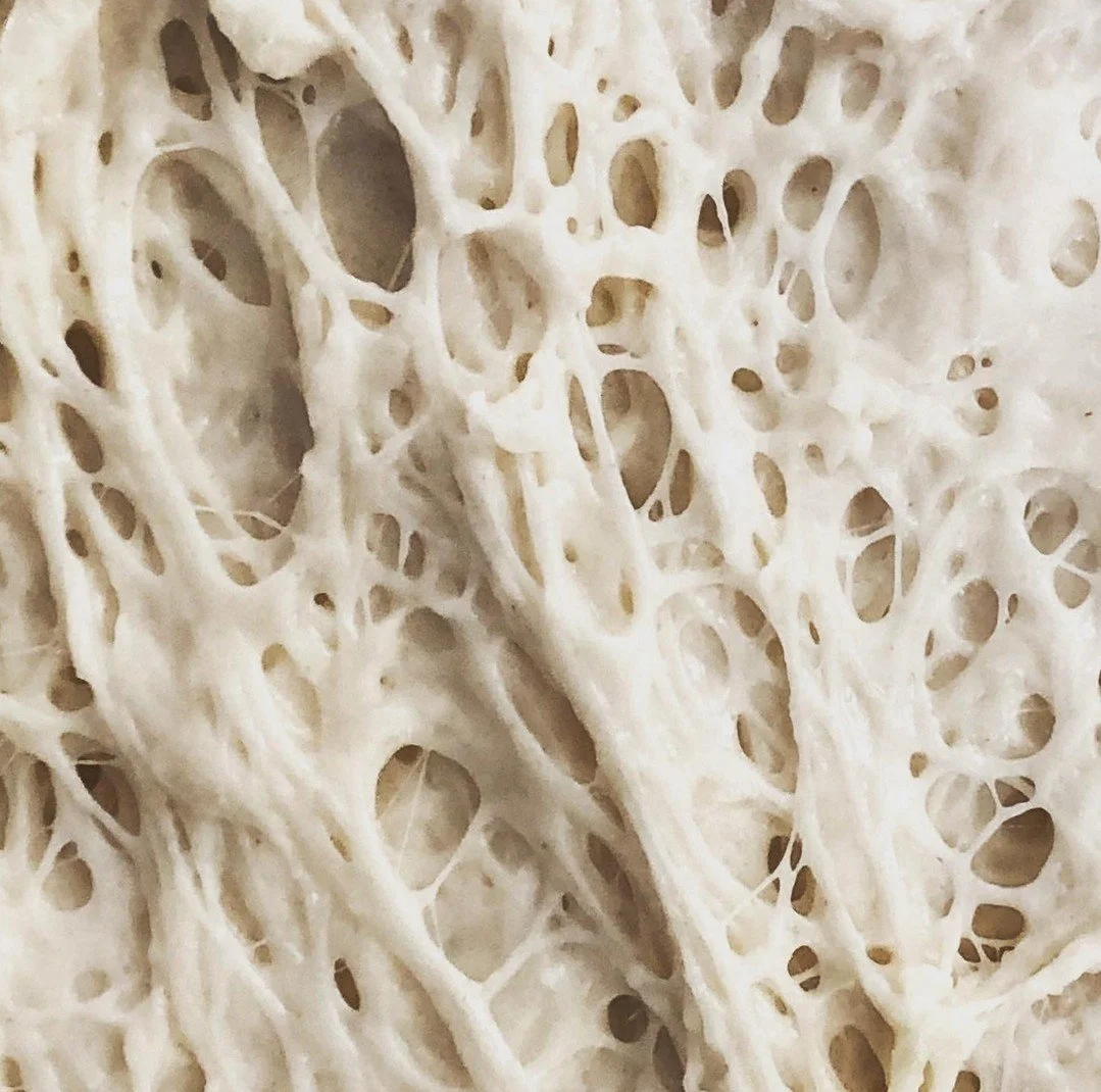 Wild yeast at work!