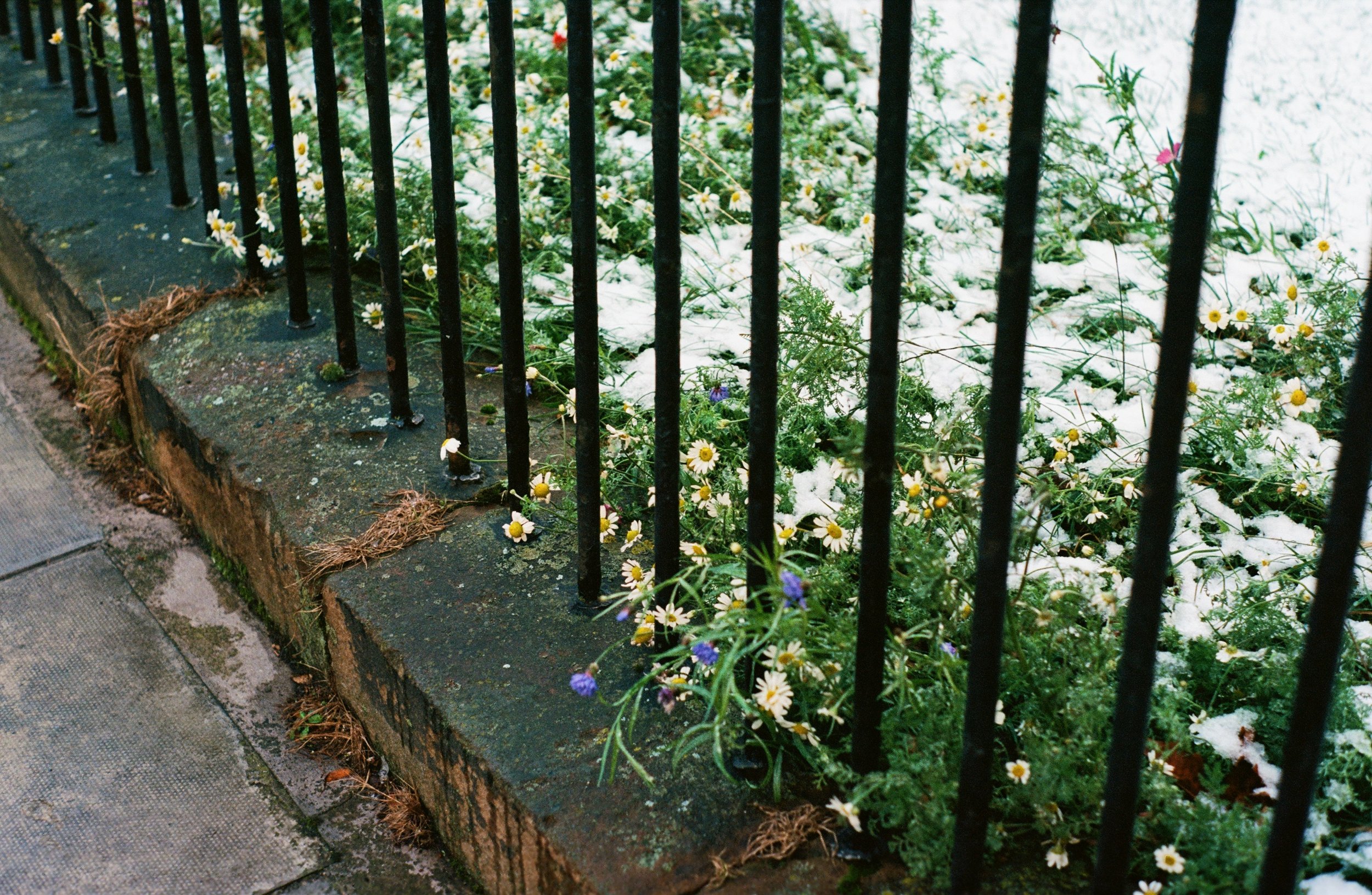 Edinburgh
